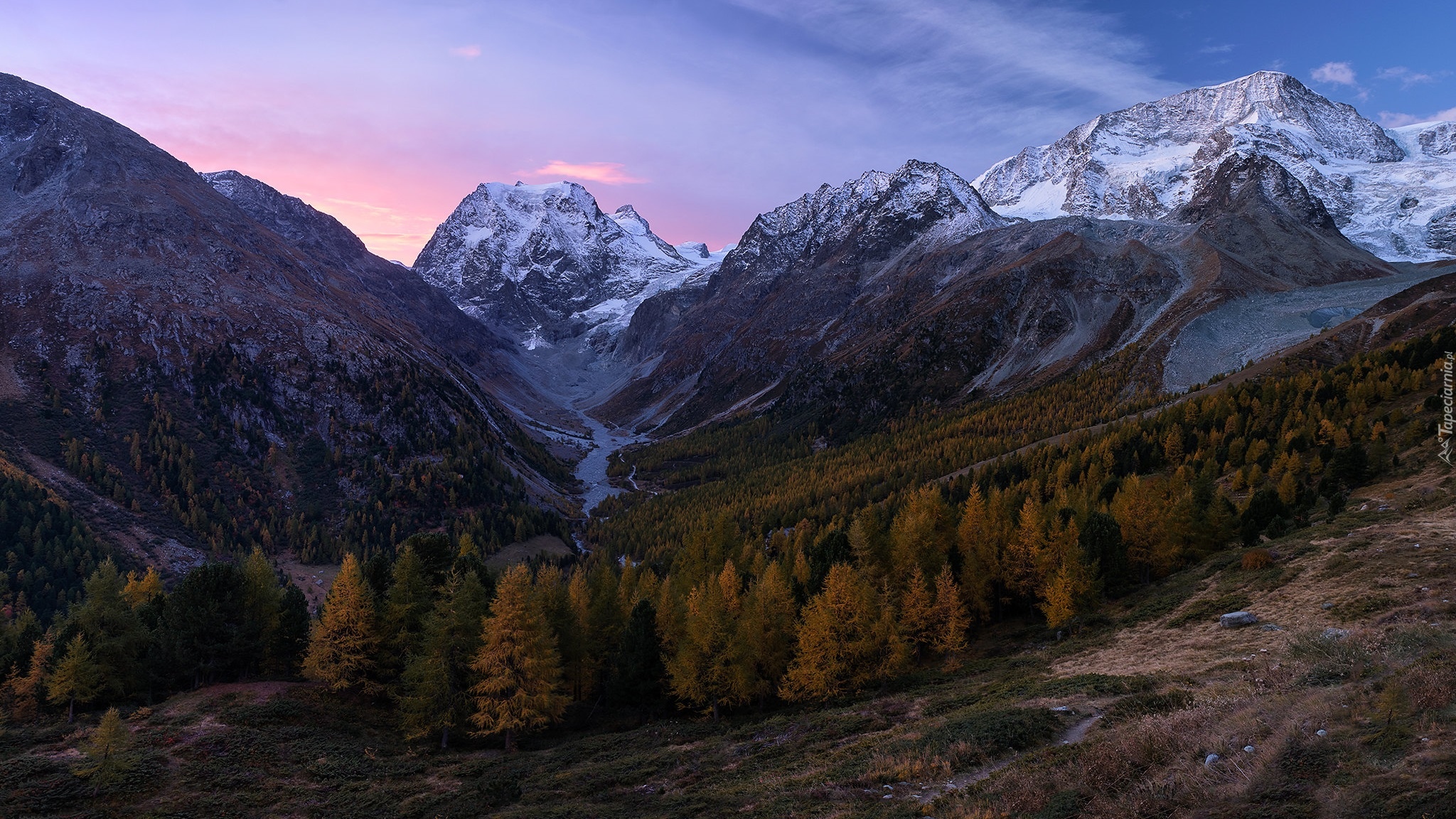 Góry, Alpy Pennińskie, Szczyt, Mont Collon, Drzewa, Dolina, Val dHerens, Kanton Valais, Szwajcaria