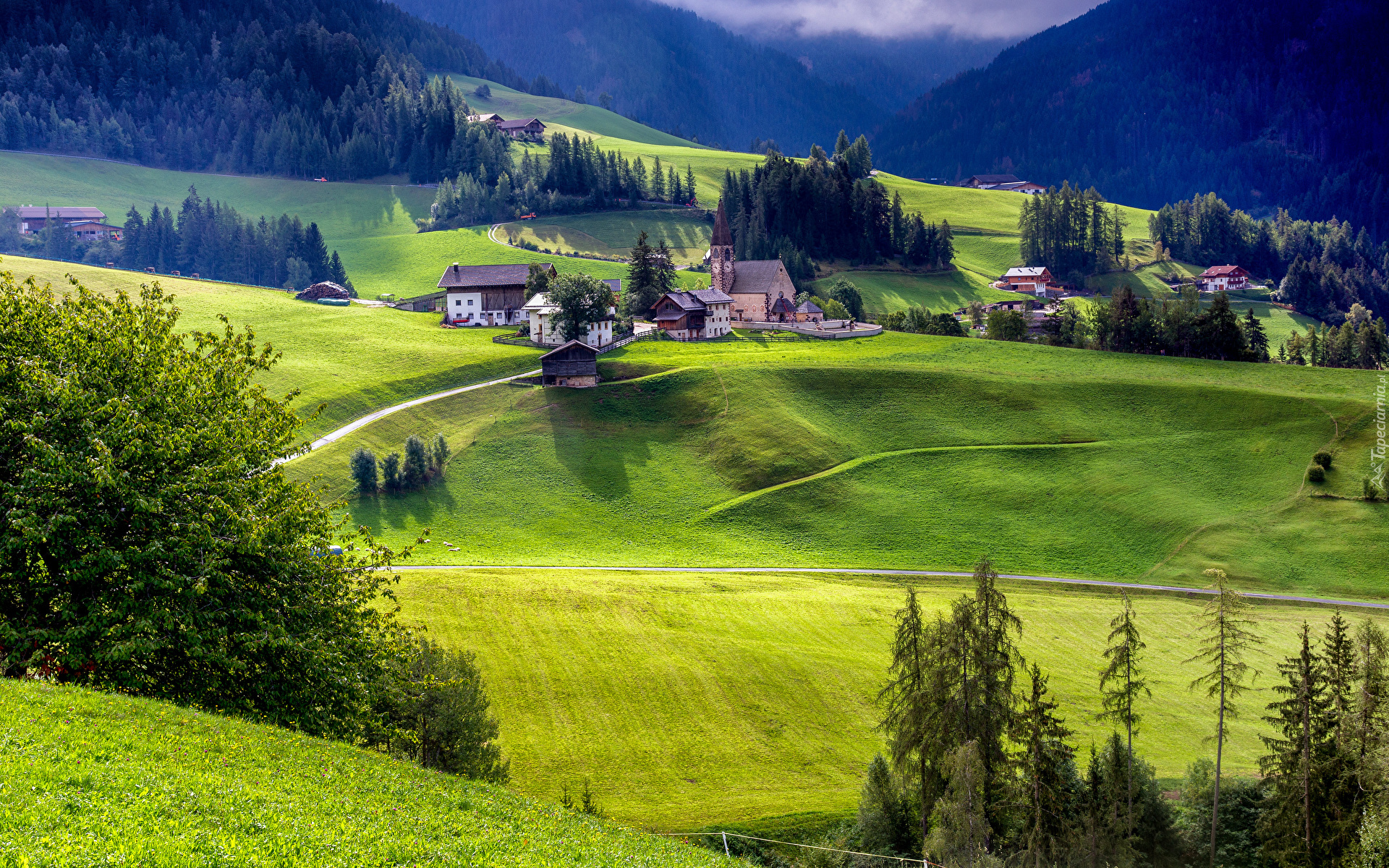 Włochy, Góry, Alpy, Lasy, Drzewa, Wieś, Santa Maddalena, Kościół, Domy, Drogi