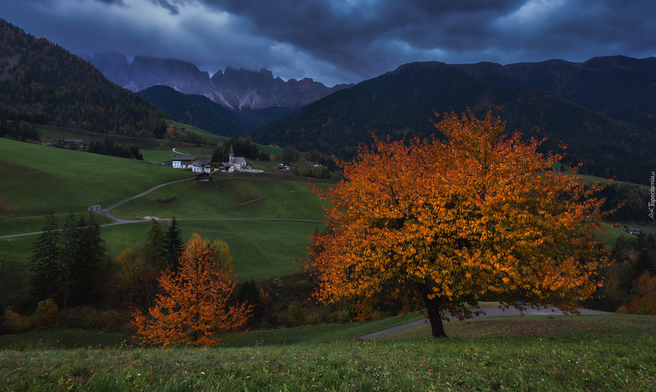 Góry, Dolomity, Dolina Val di Funes, Domy, Wieś Santa Magdalena, Kościół, Drzewa, Droga, Włochy