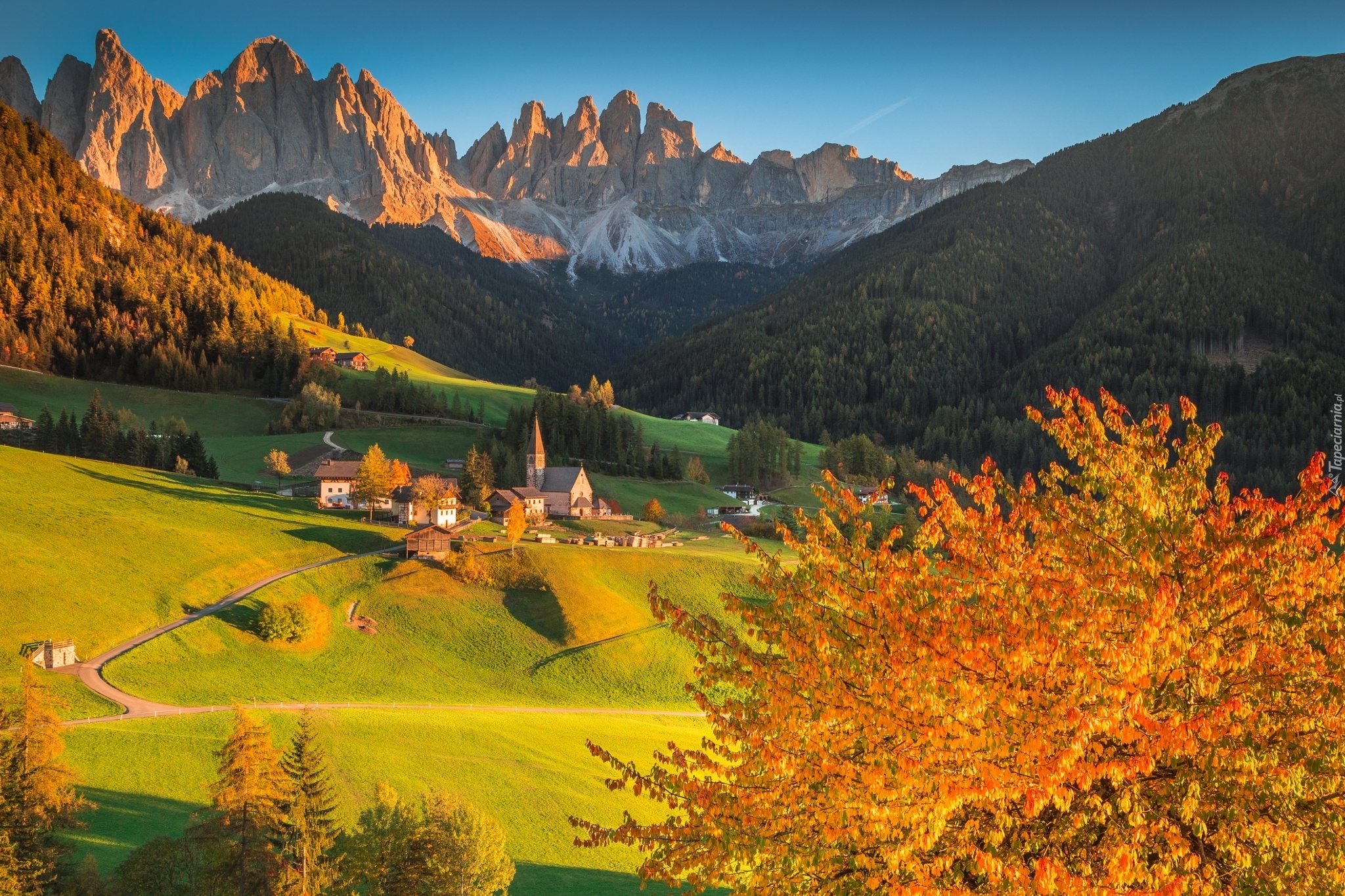 Włochy, Dolomity, Dolina Val di Funes, Wieś Santa Maddalena, Jesień, Góry, Masyw Odle, Kościół, Lasy, Drzewa