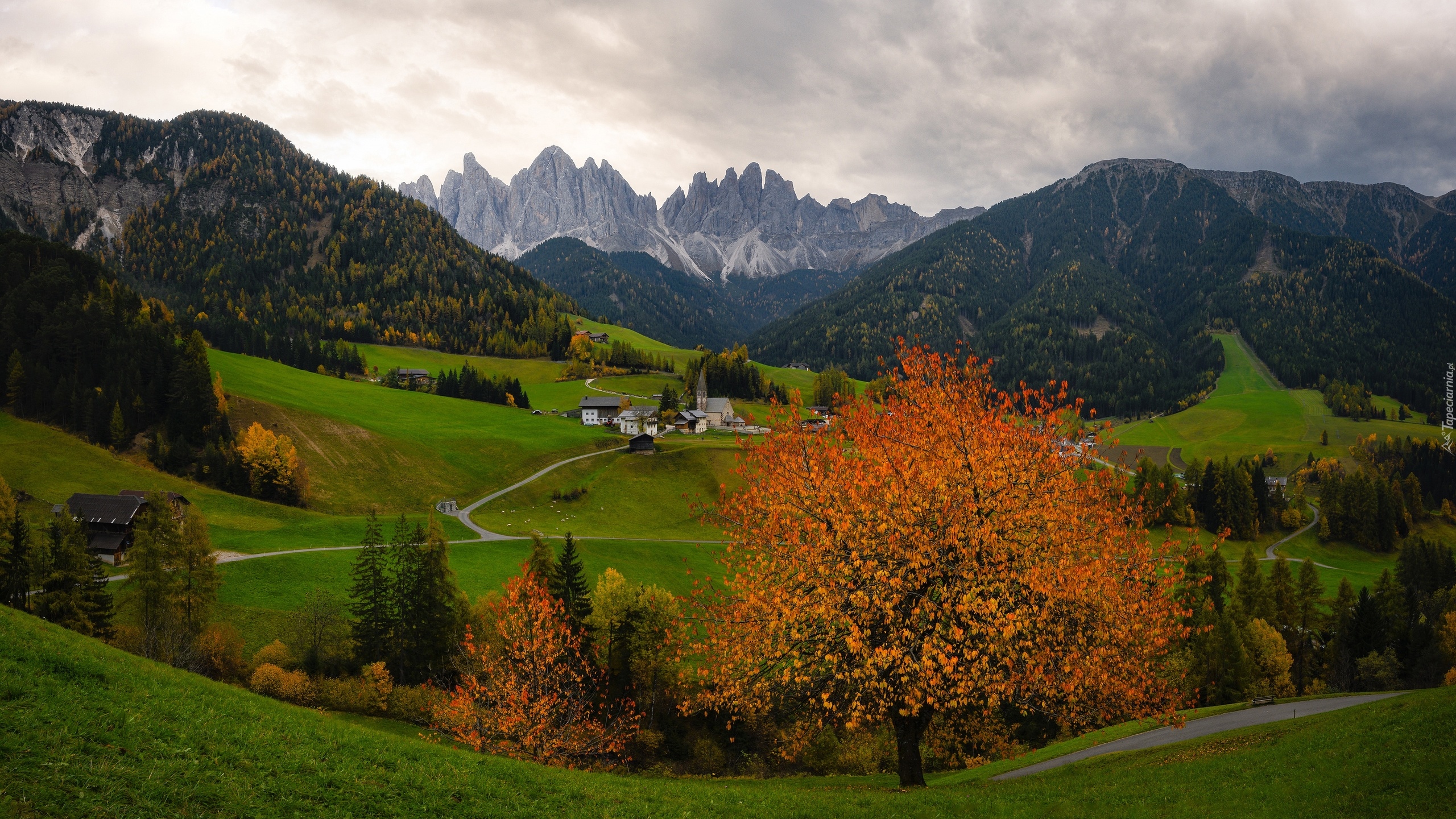 Góry, Dolomity, Las, Drzewa, Domy, Kościół, Wieś, Santa Maddalena, Dolina Val di Funes, Włochy, Chmury, Jesień