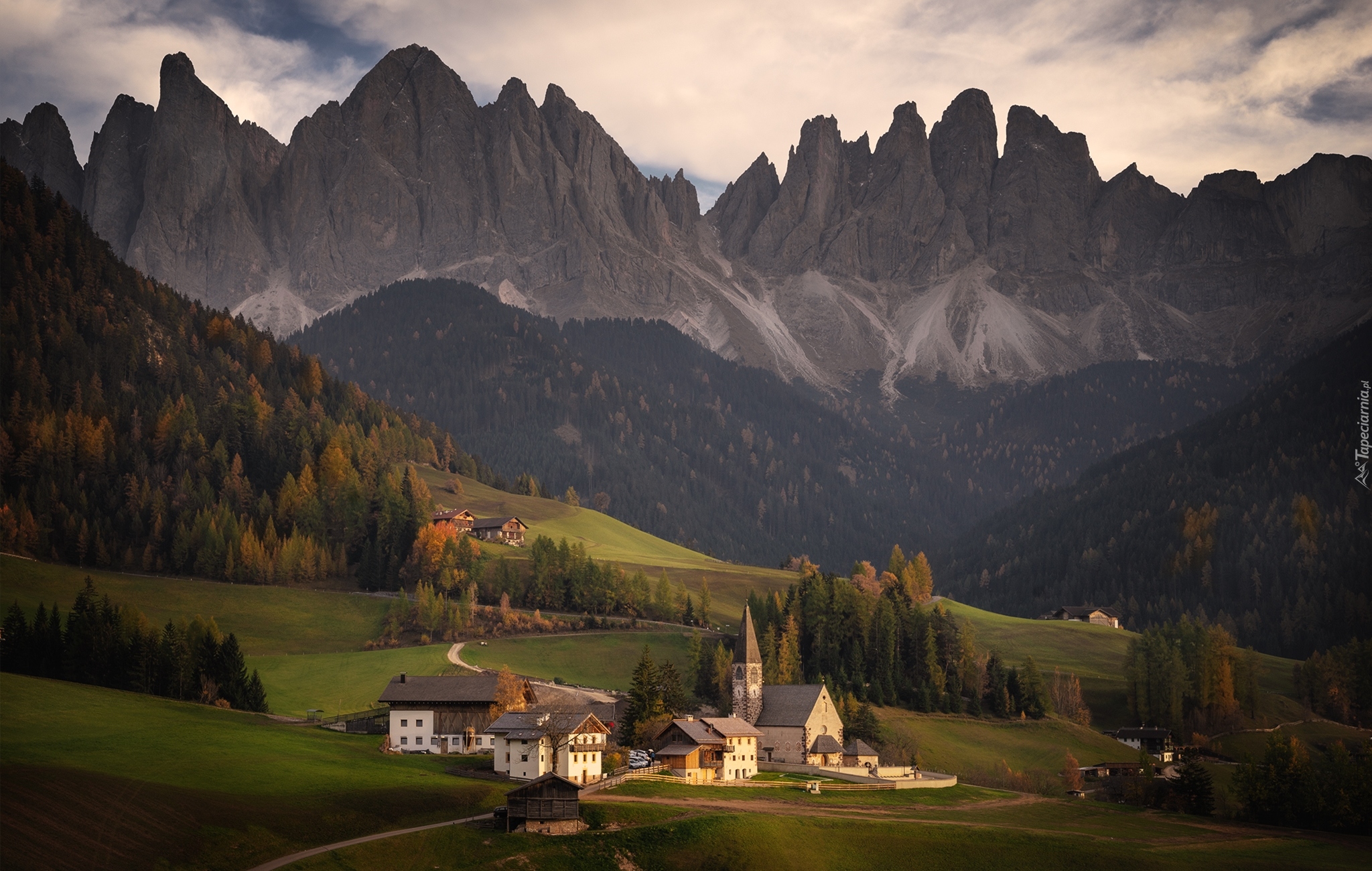 Góry, Dolomity, Masyw Odle, Las, Drzewa, Domy, Kościół, Wieś, Santa Maddalena, Dolina Val di Funes, Włochy