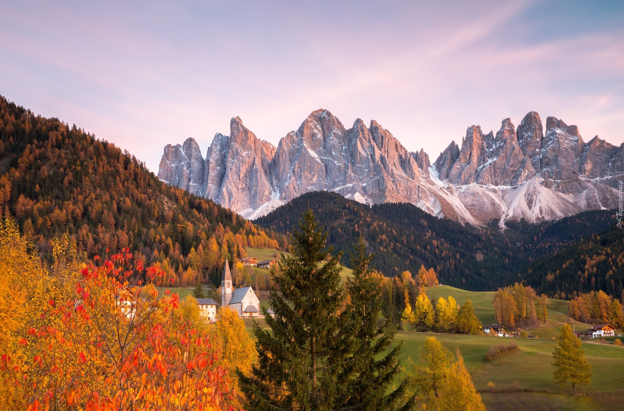 Włochy, Dolomity, Dolina Val di Funes, Wieś Santa Maddalena, Góry, Masyw Odle, Lasy, Drzewa, Jesień, Domy, Kościół