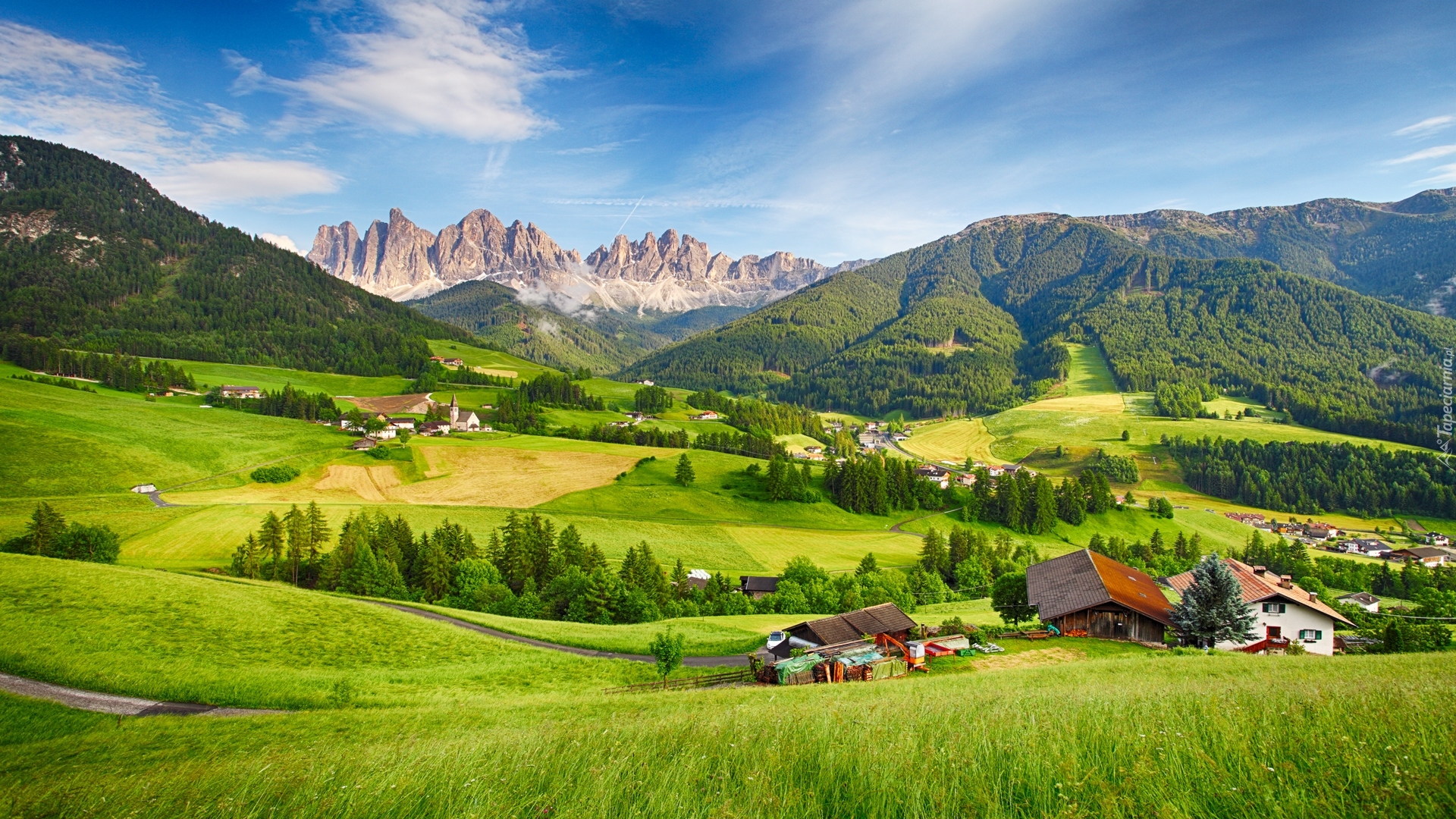 Włochy, Wieś Santa Maddalena, Dolina Val di Funes, Góry Dolomity, Drzewa