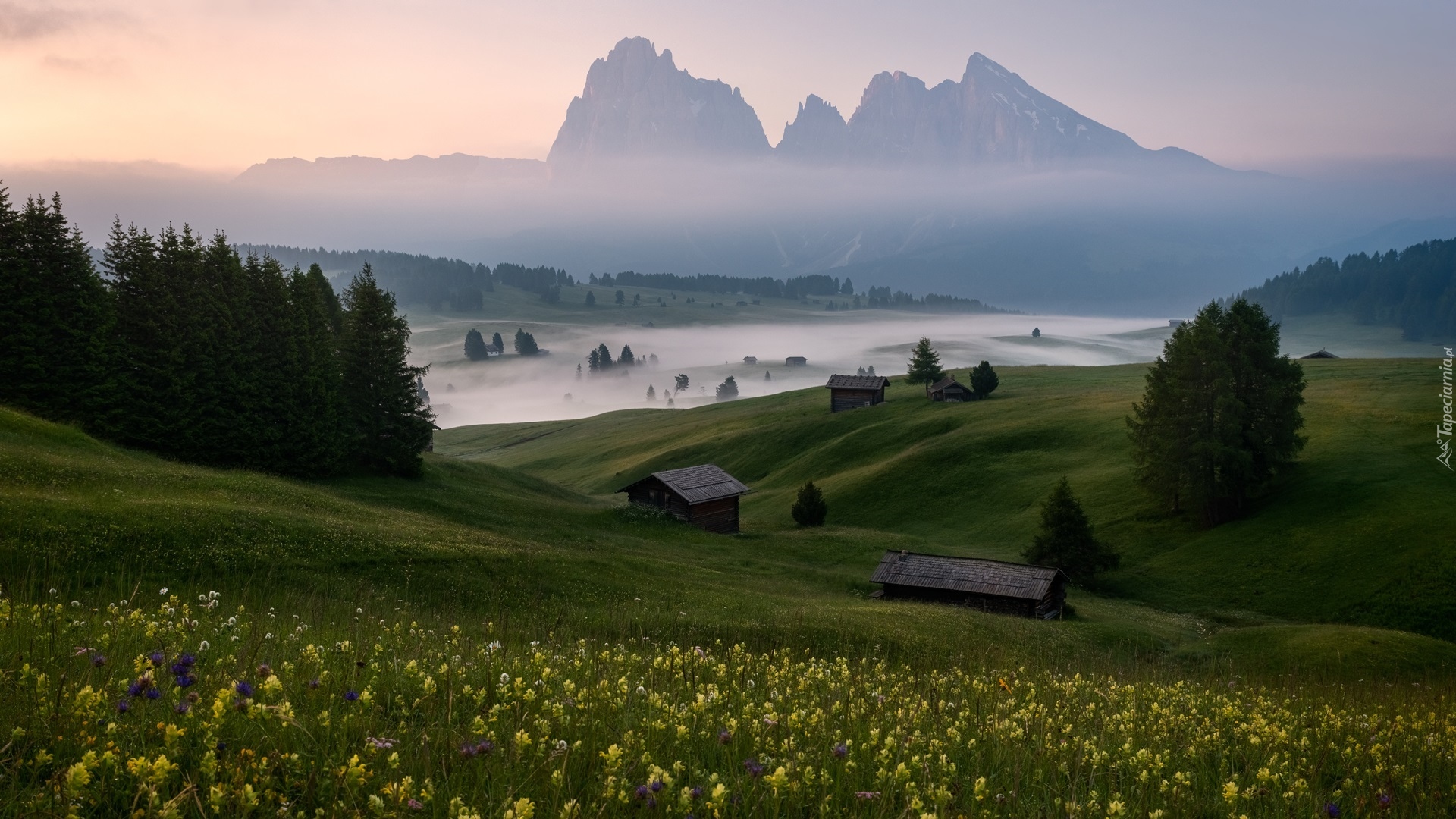 Mgła, Góry Sassolungo, Dolomity, Drewniane, Domki, Płaskowyż Seiser Alm, Dolina Val Gardena, Łąki, Włochy