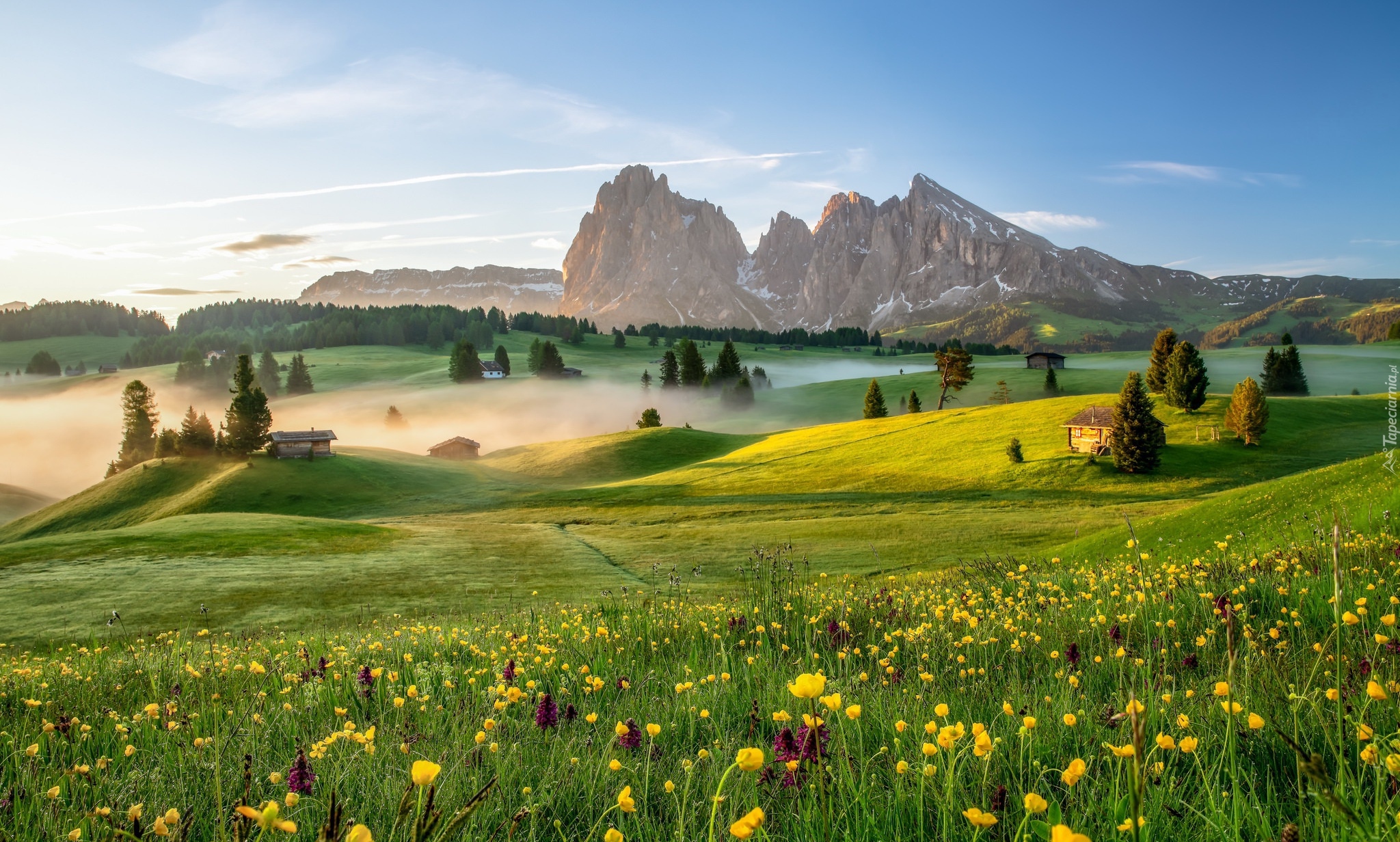 Płaskowyż Seiser Alm, Dolina Val Gardena, Góry Sassolungo, Włochy, Dolomity, Mgła, Domy, Łąka, Kwiaty, Drzewa