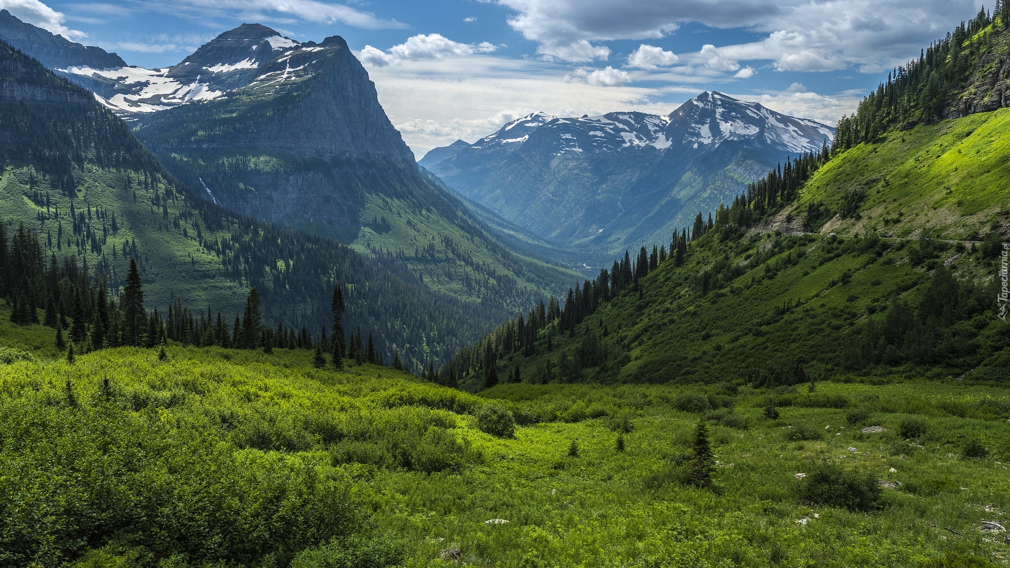 Góry Skaliste, Las, Drzewa, Dolina, Chmury, Park Narodowy Glacier, Stan Montana, Stany Zjednoczone