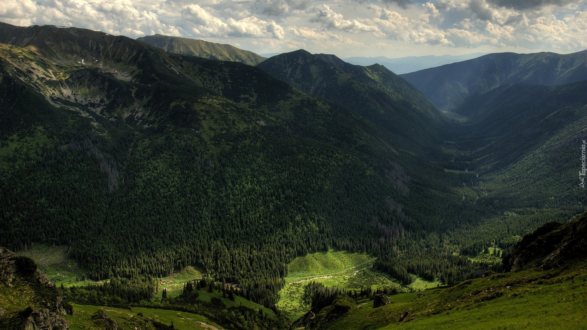 Góry, Tatry Zachodnie, Masyw Czerwone Wierchy, Lasy, Dolina, Polska