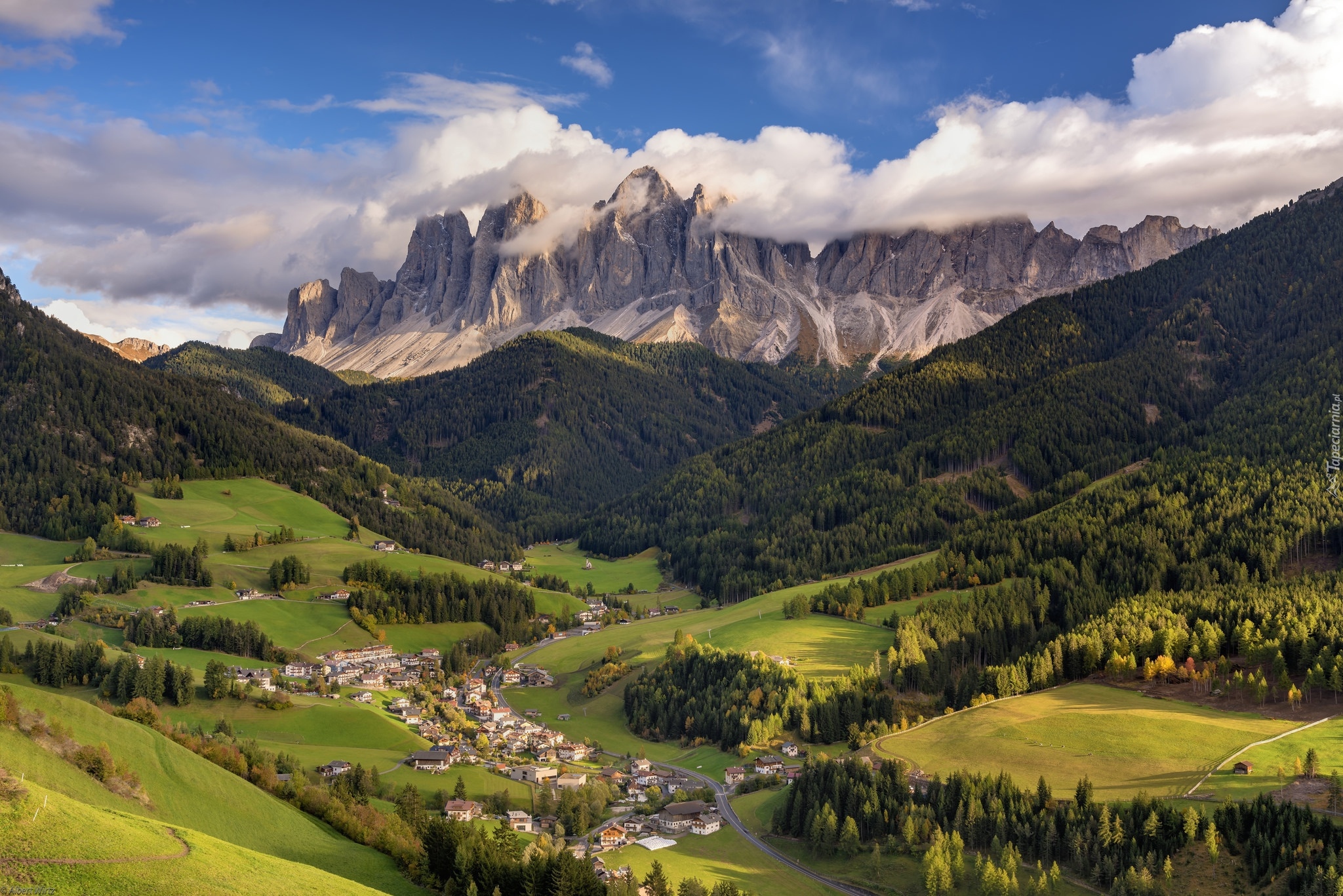 Włochy, Region Trydent-Górna Adyga, Prowincja Bolzano-Alto Adige, Drzewa, Góry Dolomity, Dolina