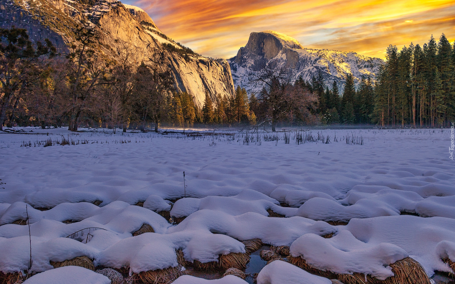 Stany Zjednoczone, Kalifornia, Park Narodowy Yosemite, Góry, Sierra Nevada, Drzewa, Sucha, Trawa, Śnieg, Zima, Dolina Yosemite