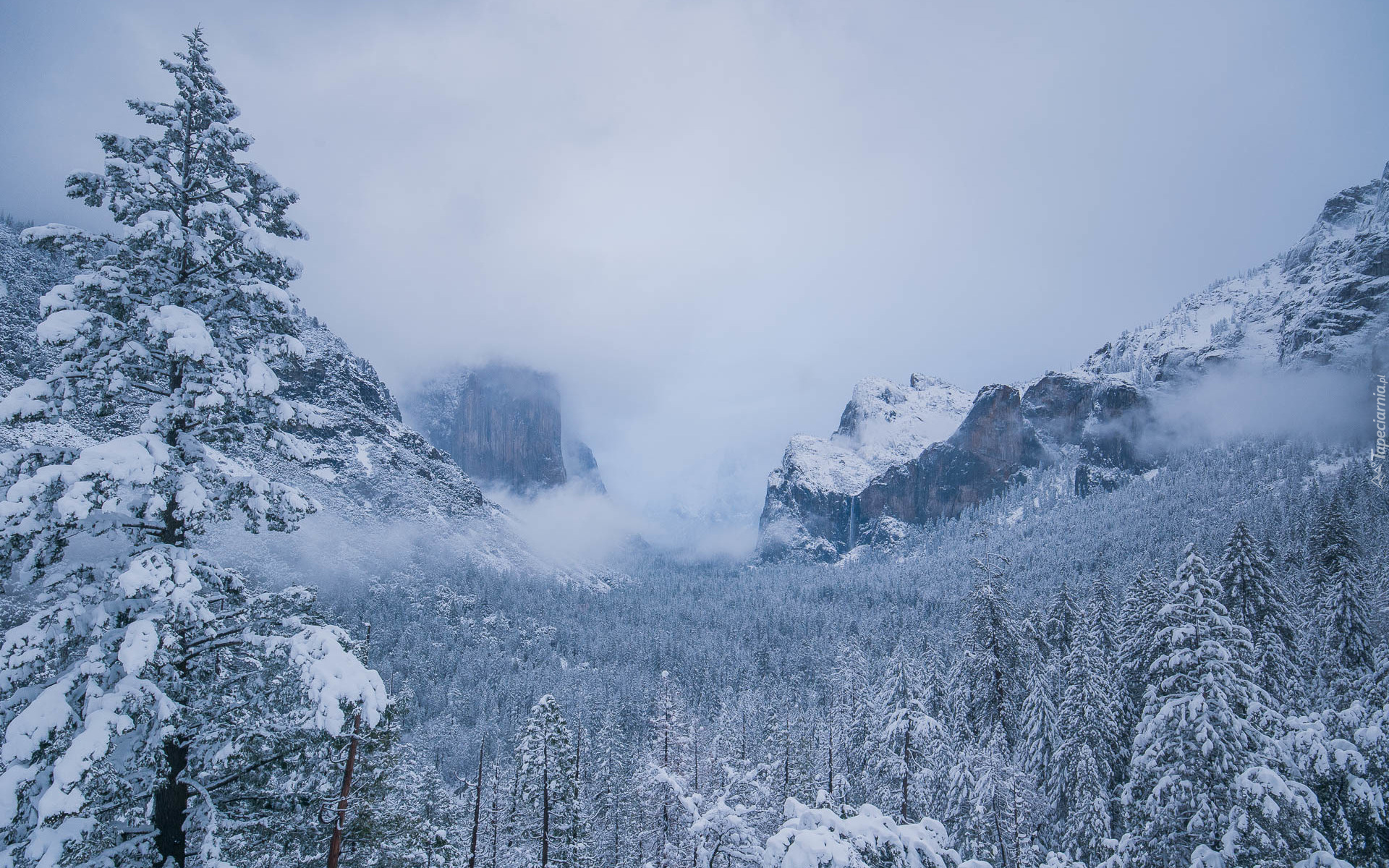 Park Narodowy Yosemite, Góry, Świerki, Drzewa, Dolina Yosemite Valley, Mgła, Zima, Stan Kalifornia, Stany Zjednoczone