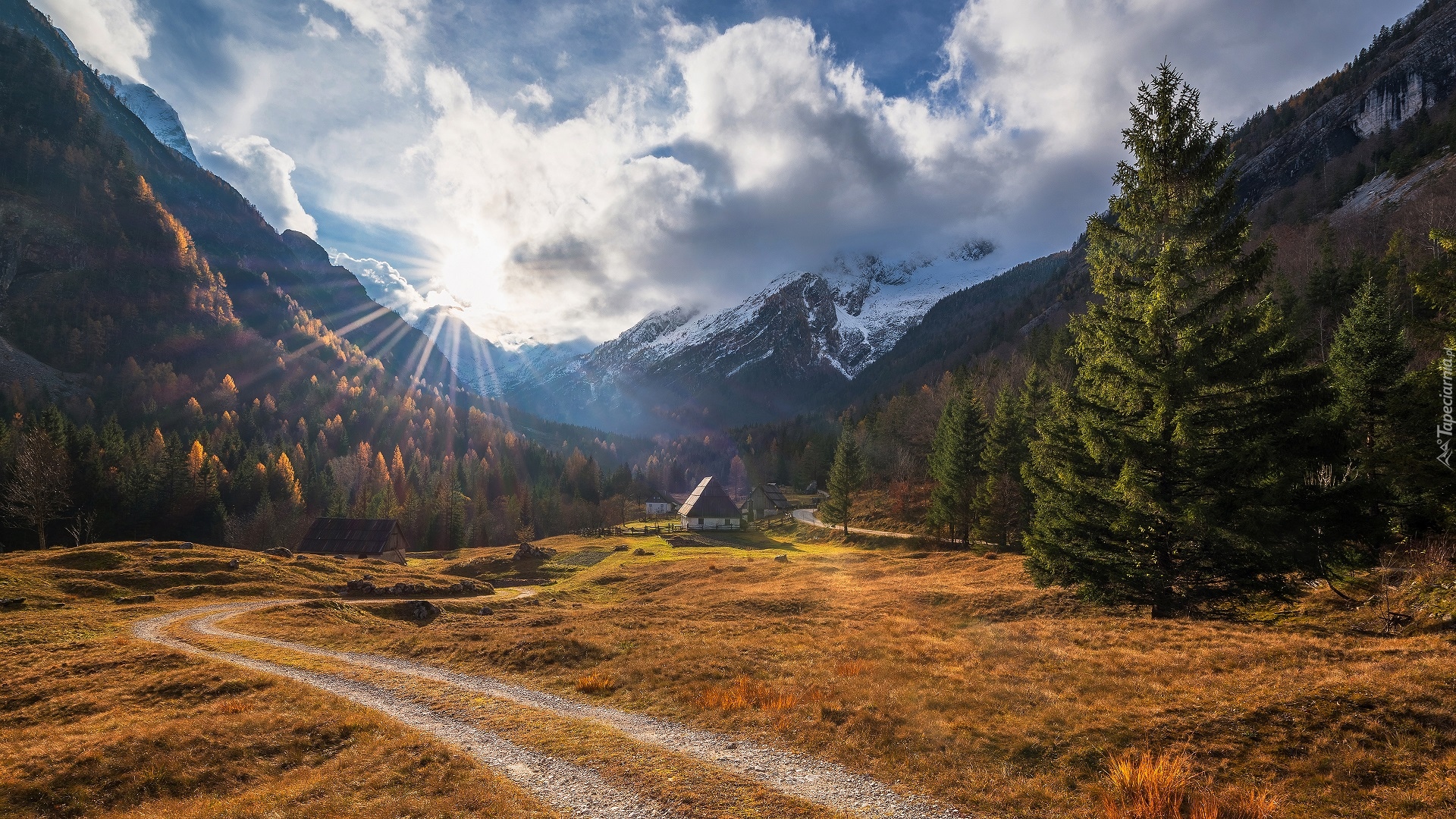 Dolina Zadnja Trenta, Triglavski Park Narodowy, Słowenia, Góry Alpy Julijskie, Droga, Drzewa, Domy, Promienie słońca