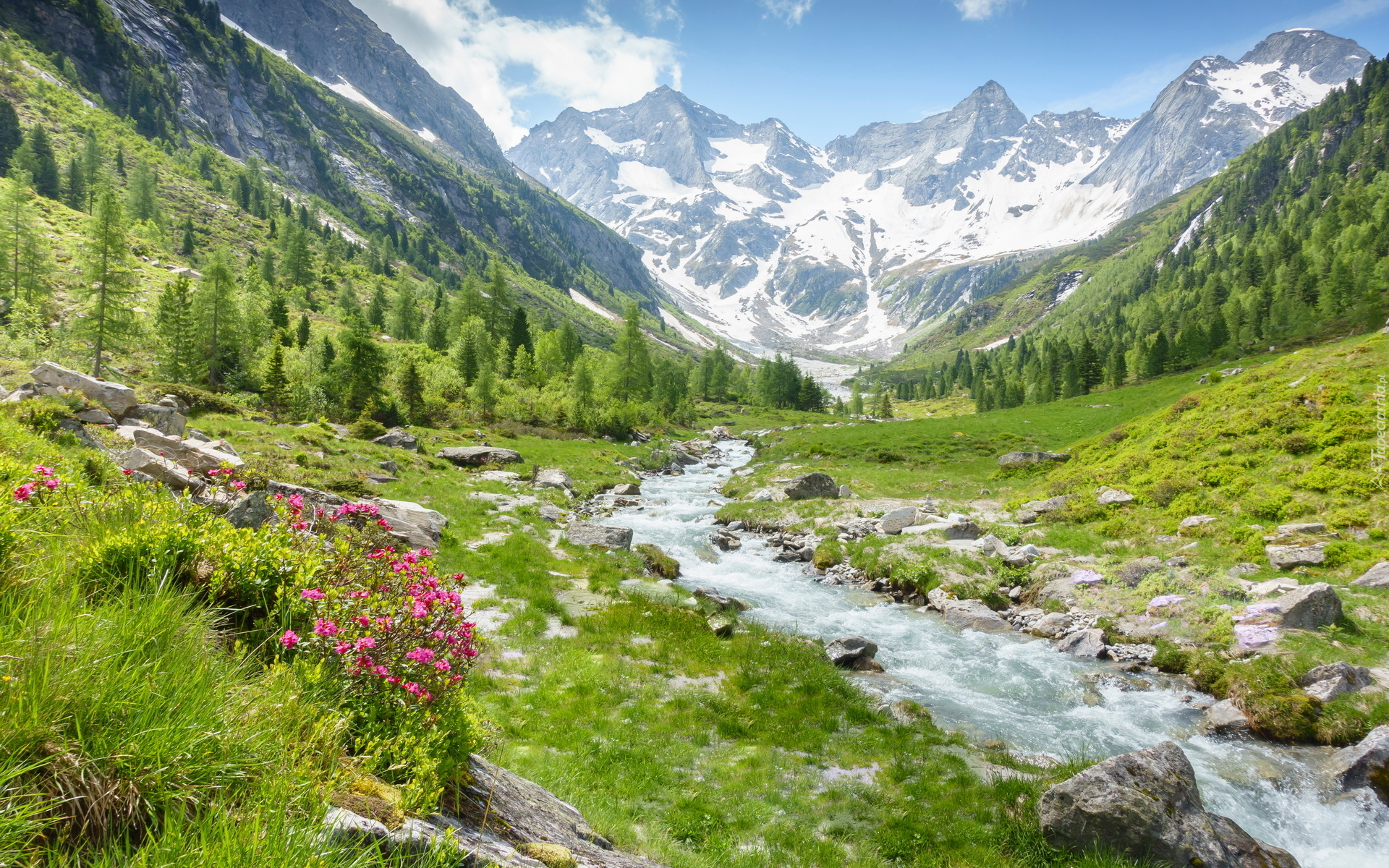 Góry, Alpy, Dolina Zillertal, Rzeka Ziller, Kwiaty, Drzewa, Powiat Schwaz, Austria