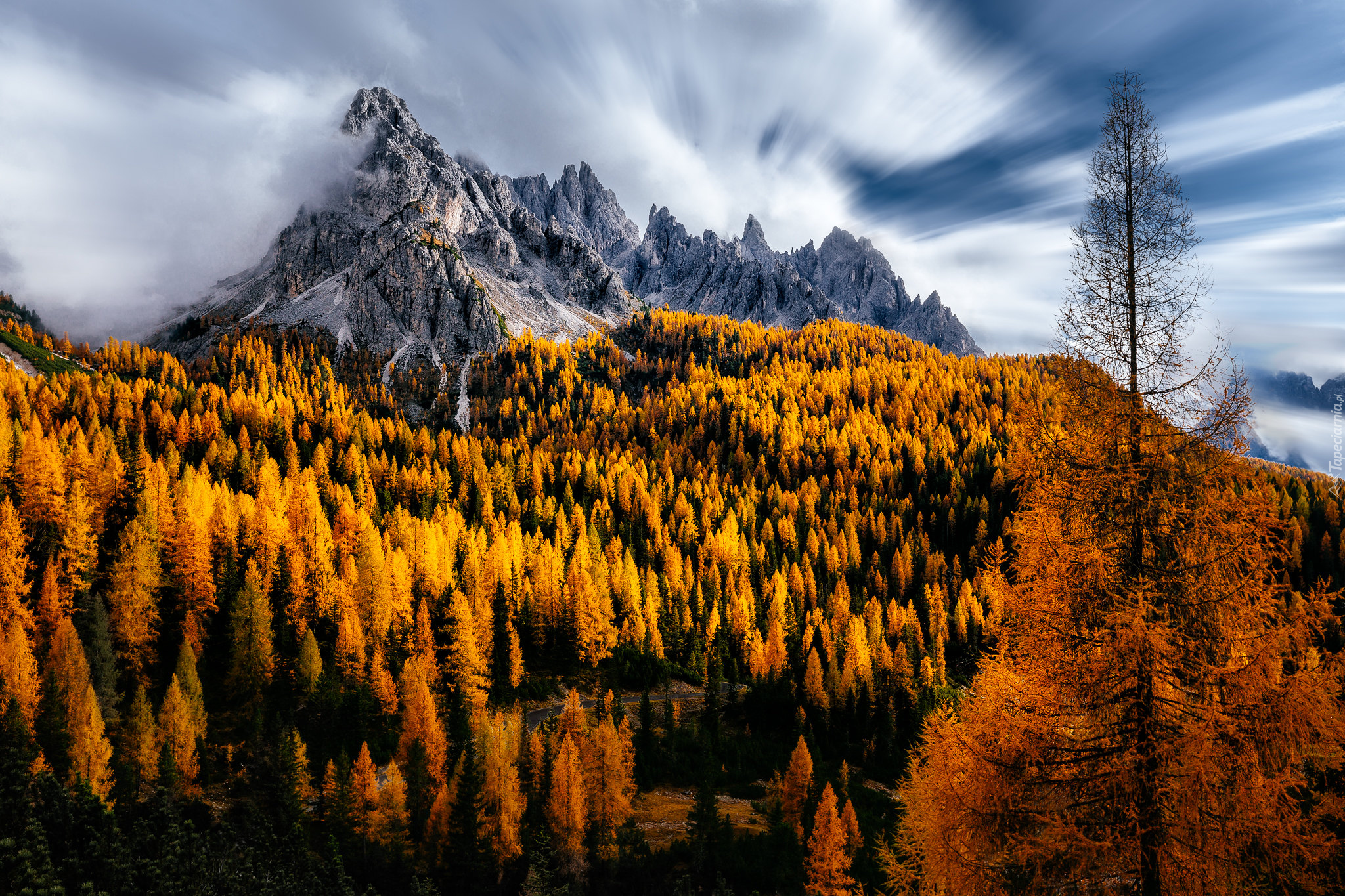 Jesień, Góry, Mgła, Drzewa, Dolomity, Włochy