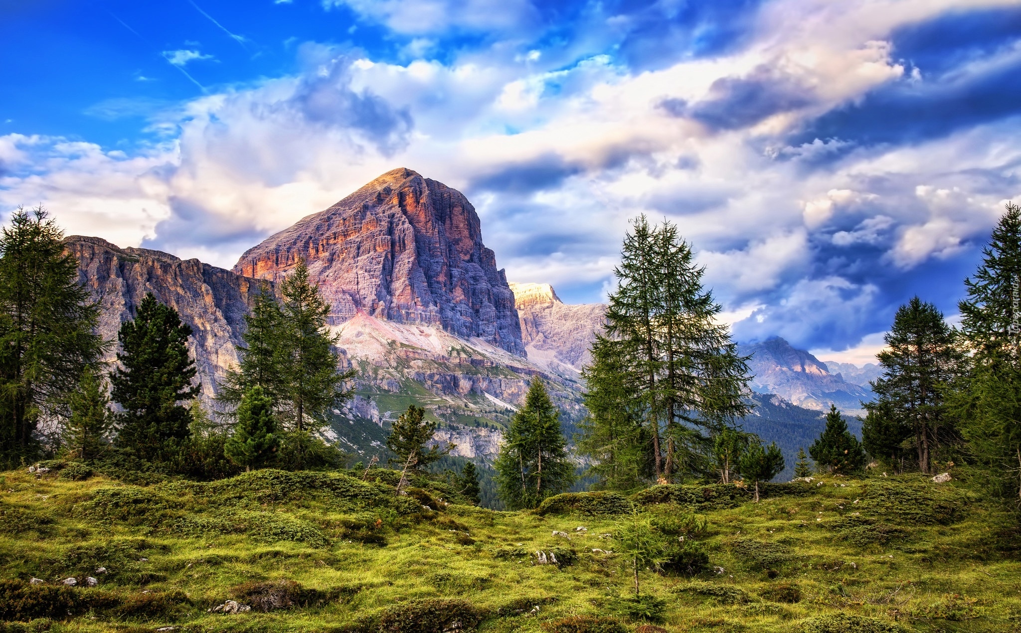 Góry Alpy, Dolomity, Drzewa, Włochy