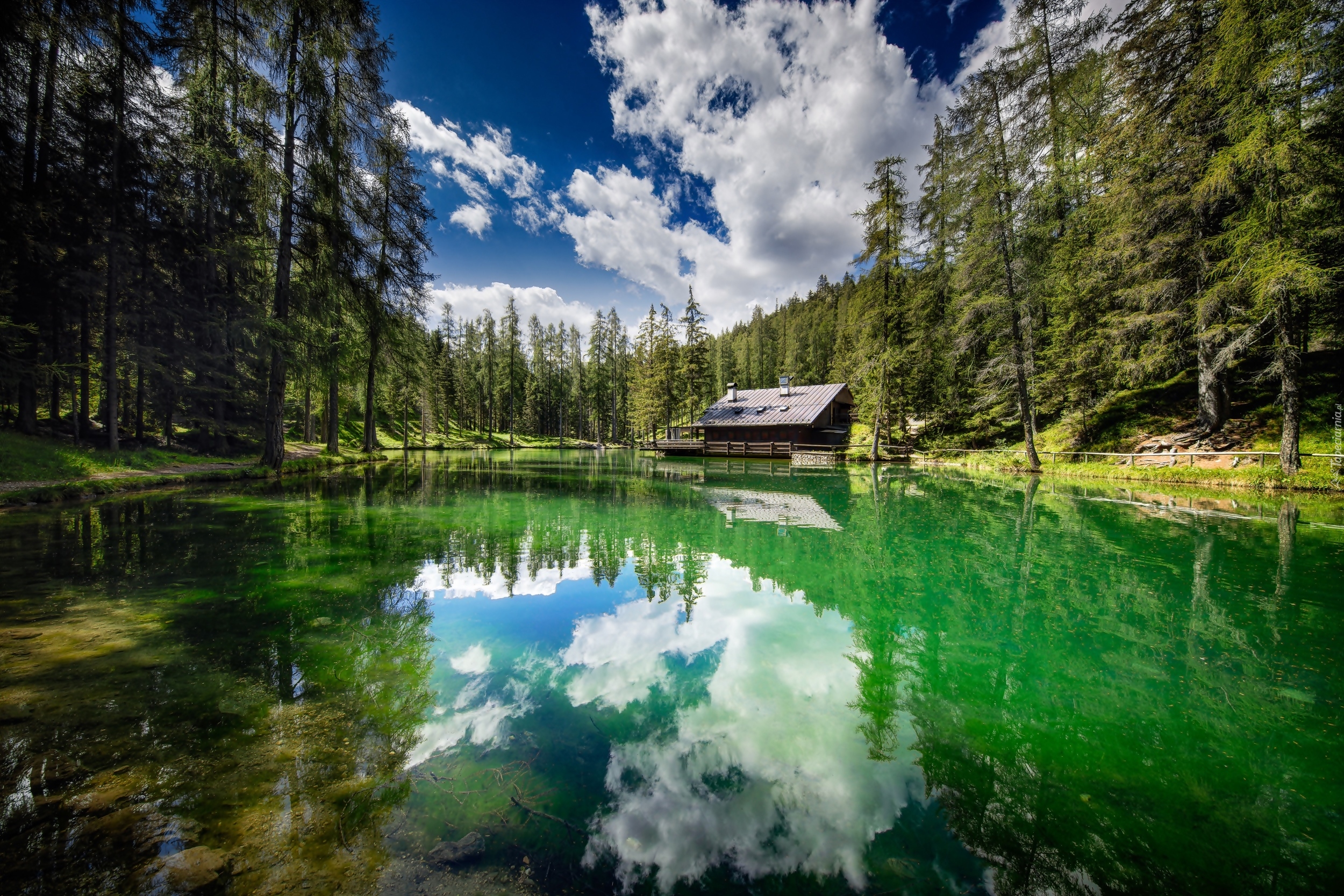 Włochy, Cortina d Ampezzo, Jezioro, Lago Ghedina, Dom, Las, Drzewa