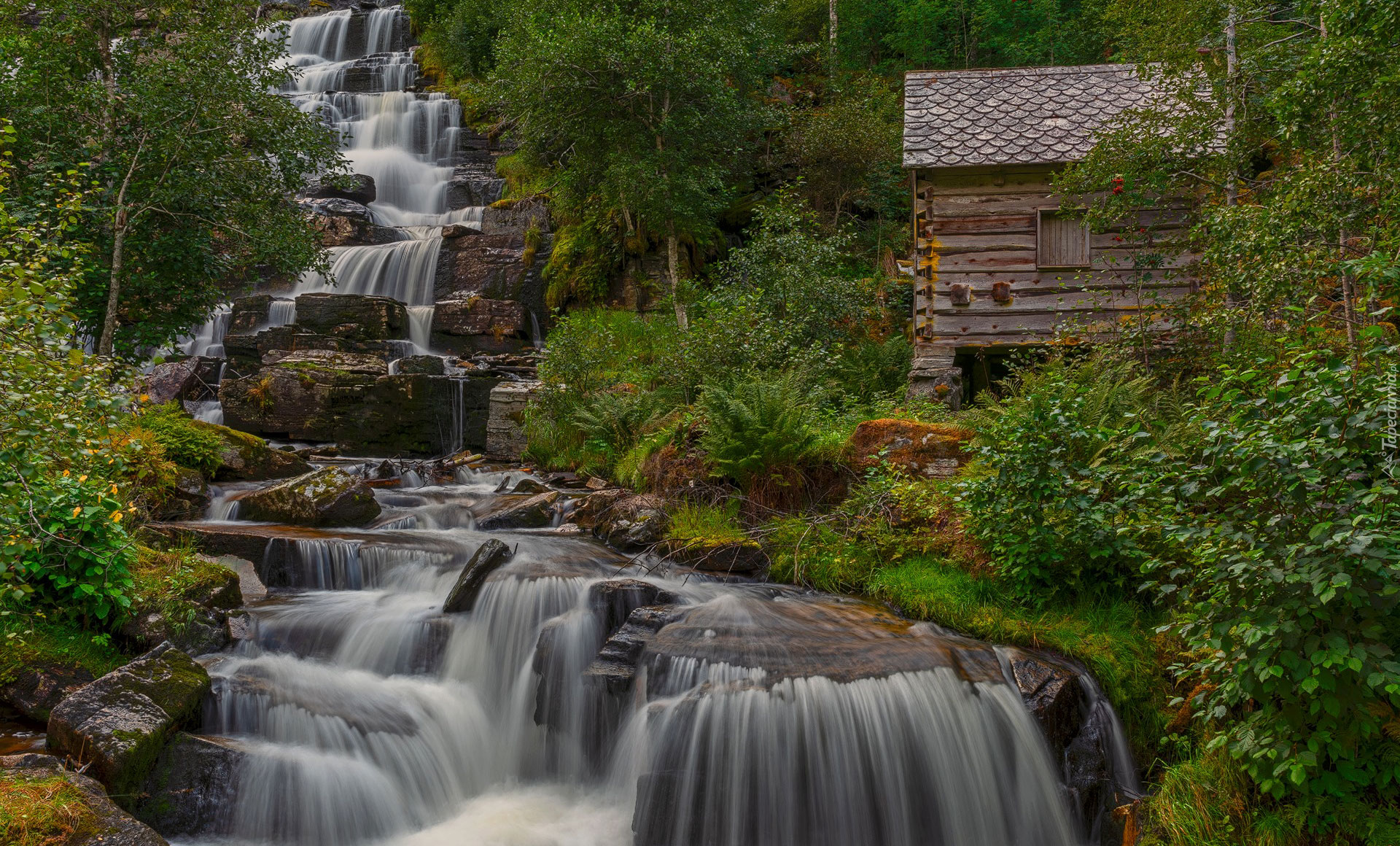 Wodospad Tvindefossen, Skały, Las, Drzewa, Dom, Voss, Norwegia