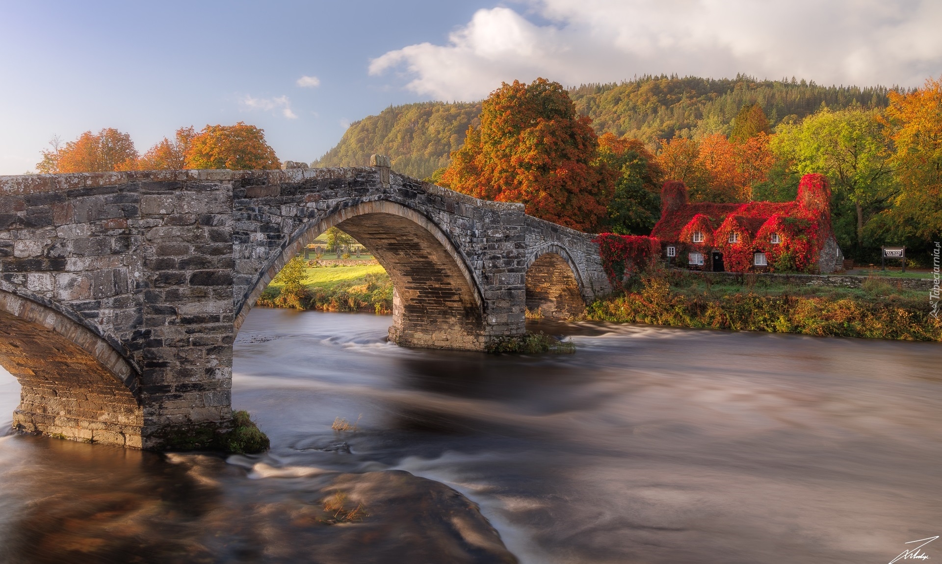 Kamienny, Most, Rzeka, Conwy River, Las, Drzewa, Dom, Jesień, Llanrwst, Walia