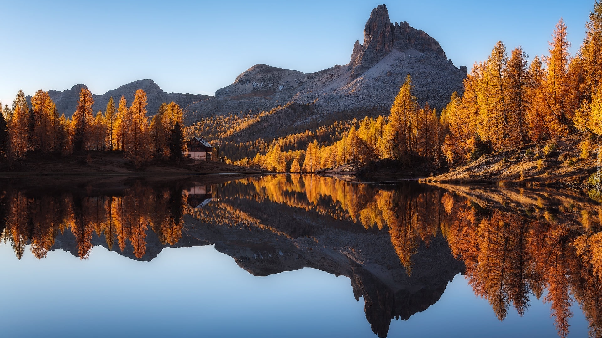 Jesień, Góry, Dolomity, Jezioro, Lago Federa, Las, Pożółkłe, Drzewa, Cortina dAmpezzo, Włochy