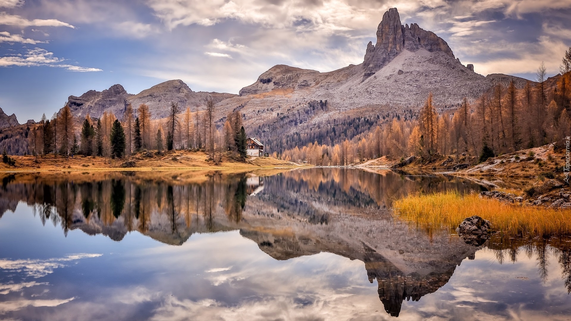 Jesień, Góry, Dolomity, Jezioro, Lago Federa, Żółta, Trawa, Odbicie, Włochy