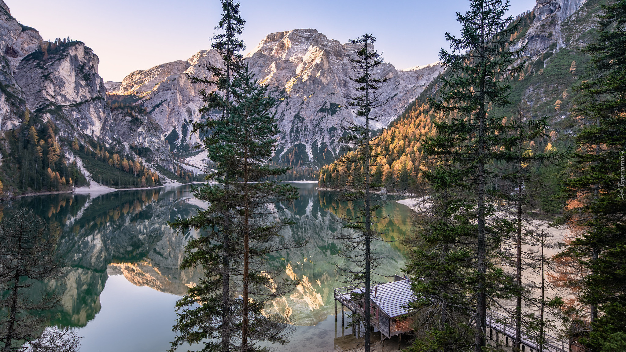 Jezioro, Pragser Wildsee, Góry, Dolomity, Drzewa, Dom, Włochy