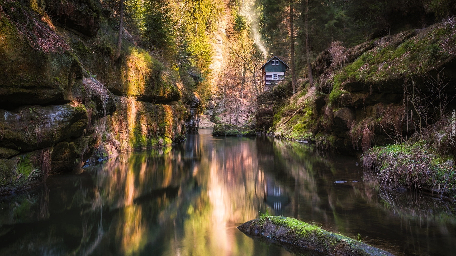 Las, Drzewa, Skała, Dom, Rzeka Kamienica, Park Narodowy Czeska Szwajcaria, Czechy