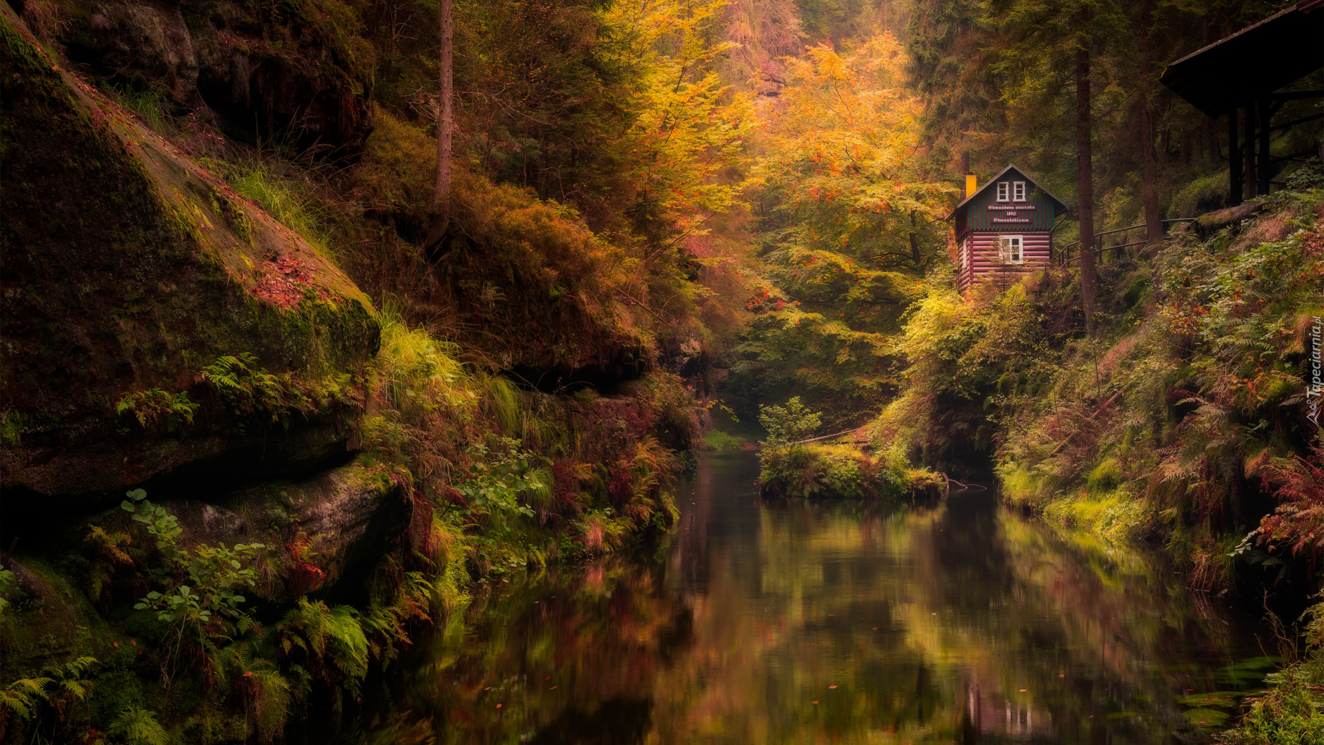 Jesień, Las, Drzewa, Skała, Dom, Rzeka Kamienica, Park Narodowy Czeska Szwajcaria, Czechy