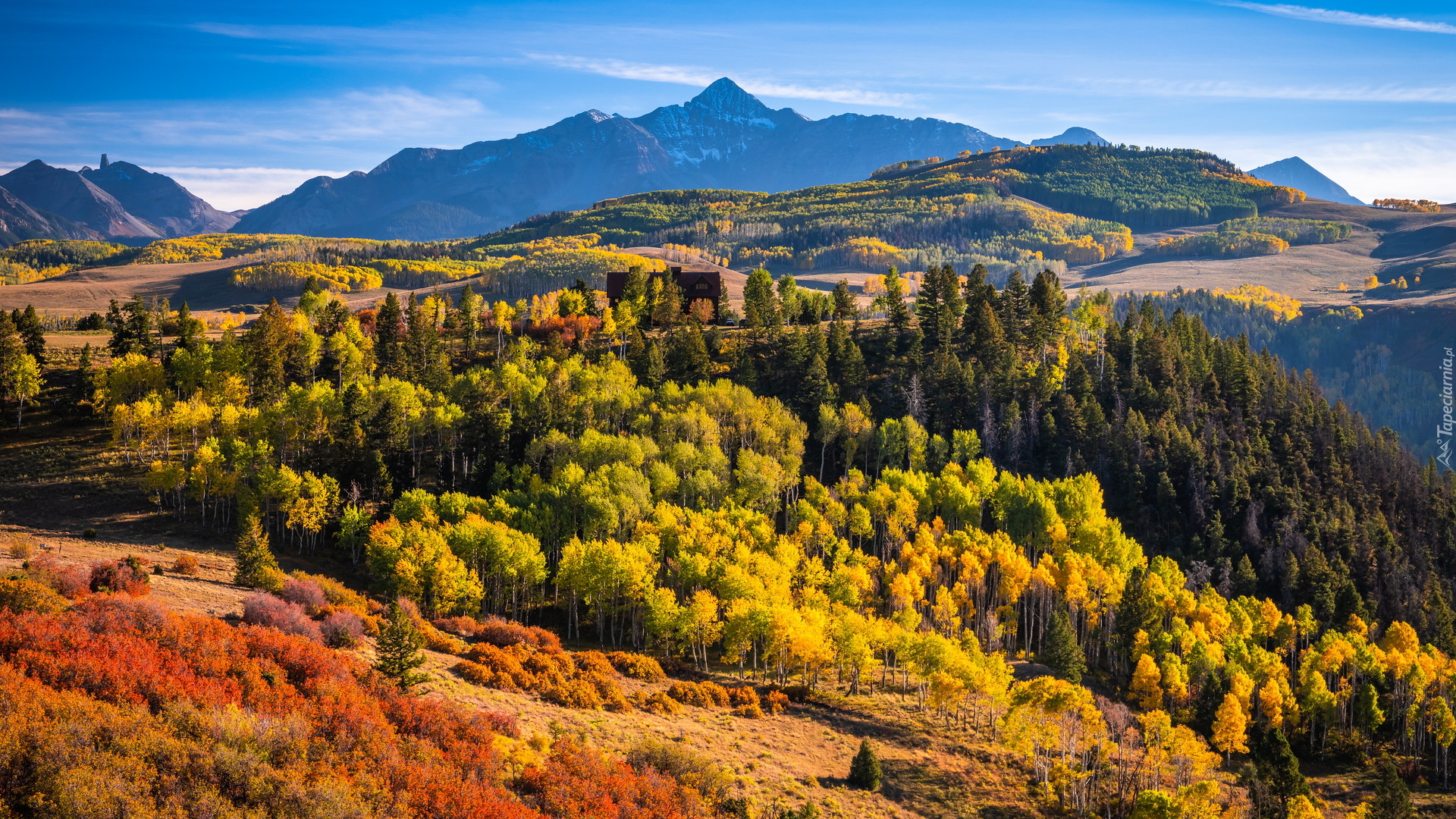 Stany Zjednoczone, Stan Kolorado, Telluride, Góry, San Juan Mountains, Góra, Wilson Peak, Las, Jesień, Góry, Drzewa