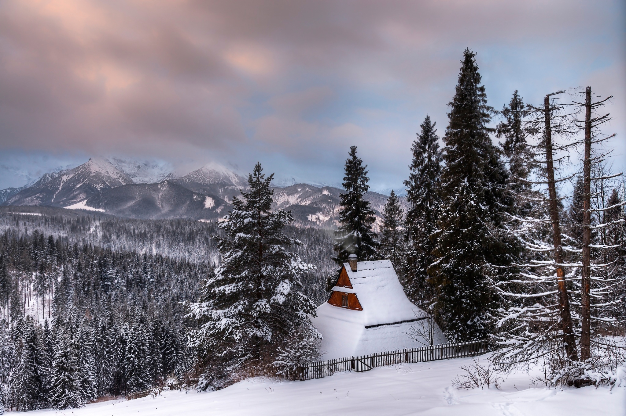 Dom, Góry, Las, Drzewa, Zima, Zakopane