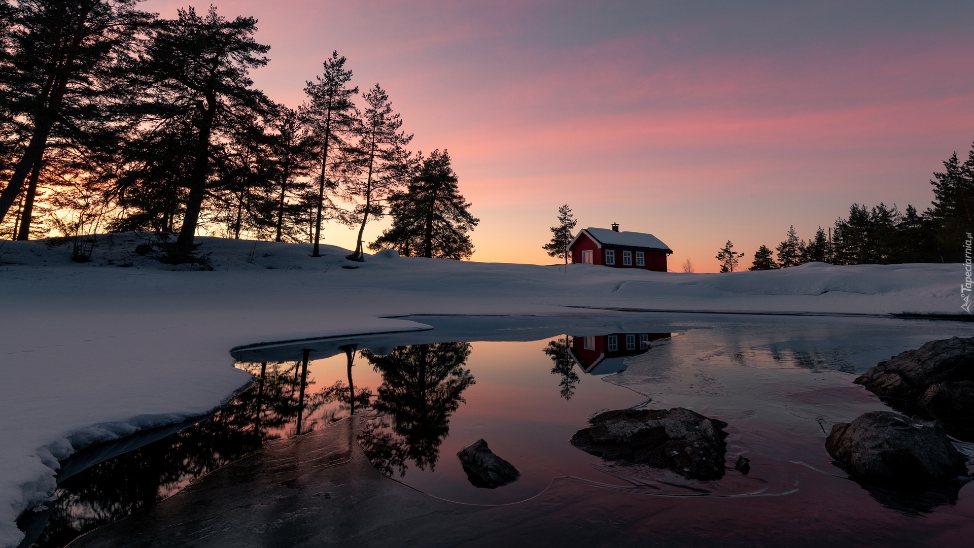 Norwegia, Ringerike, Jezioro Vaeleren, Zima, Dom, Drzewa