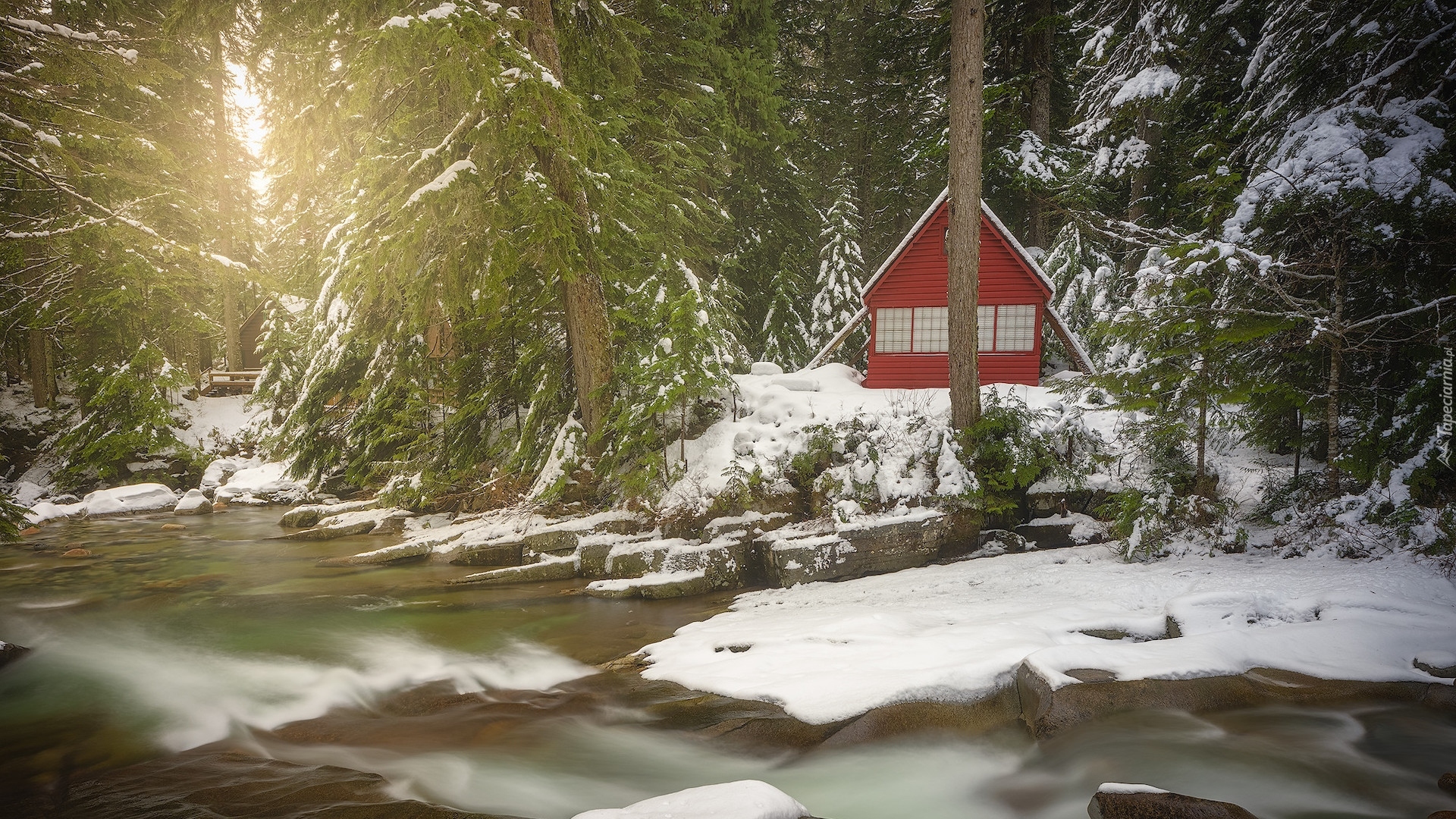 Stany Zjednoczone, Stan Waszyngton, Rzeka, Snoqualmie River, Zima, Dom, Śnieg, Las, Drzewa