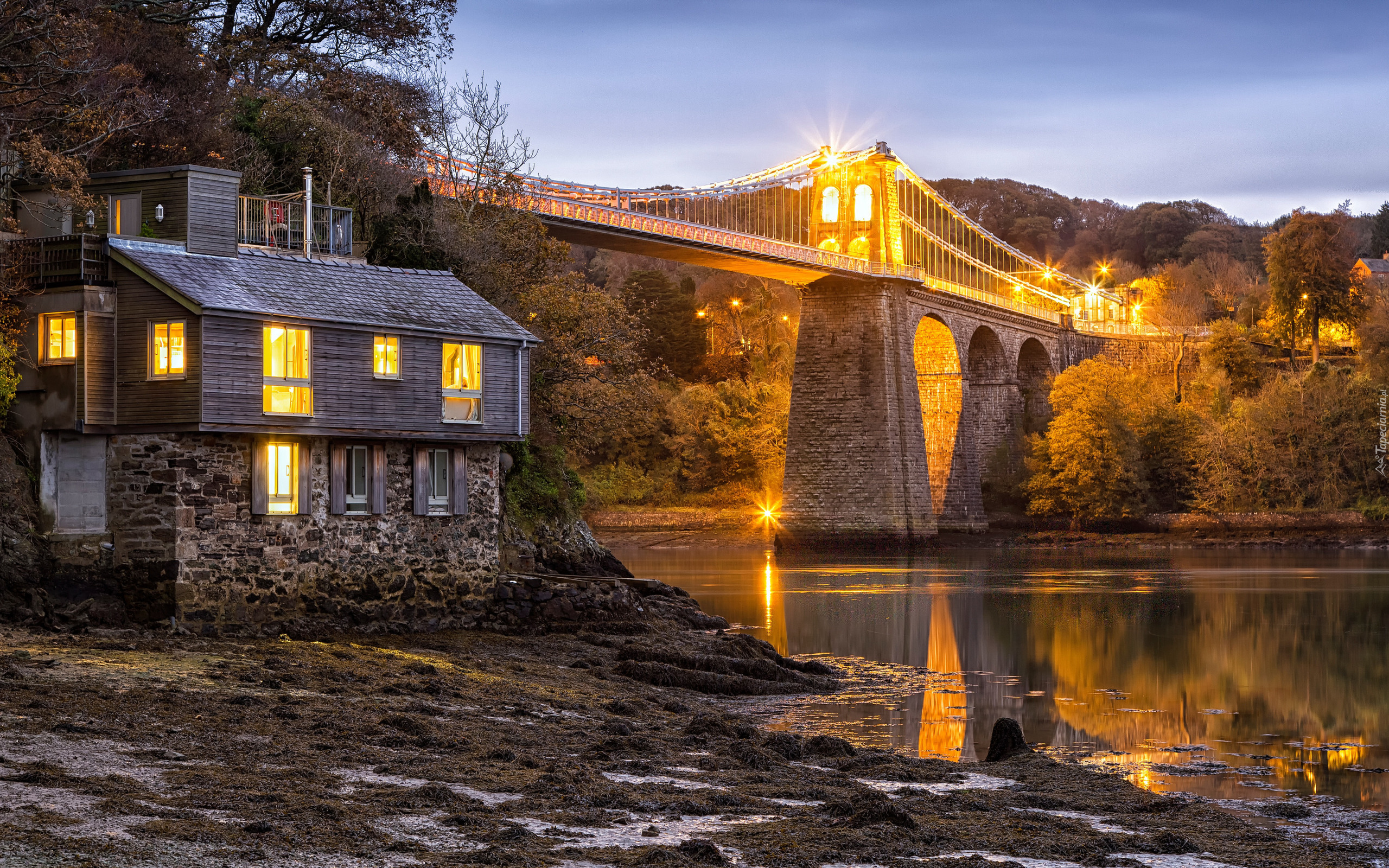 Anglia, Walia, Most, Menai Suspension Bridge, Rzeka, Dom, Światło, Drzewa