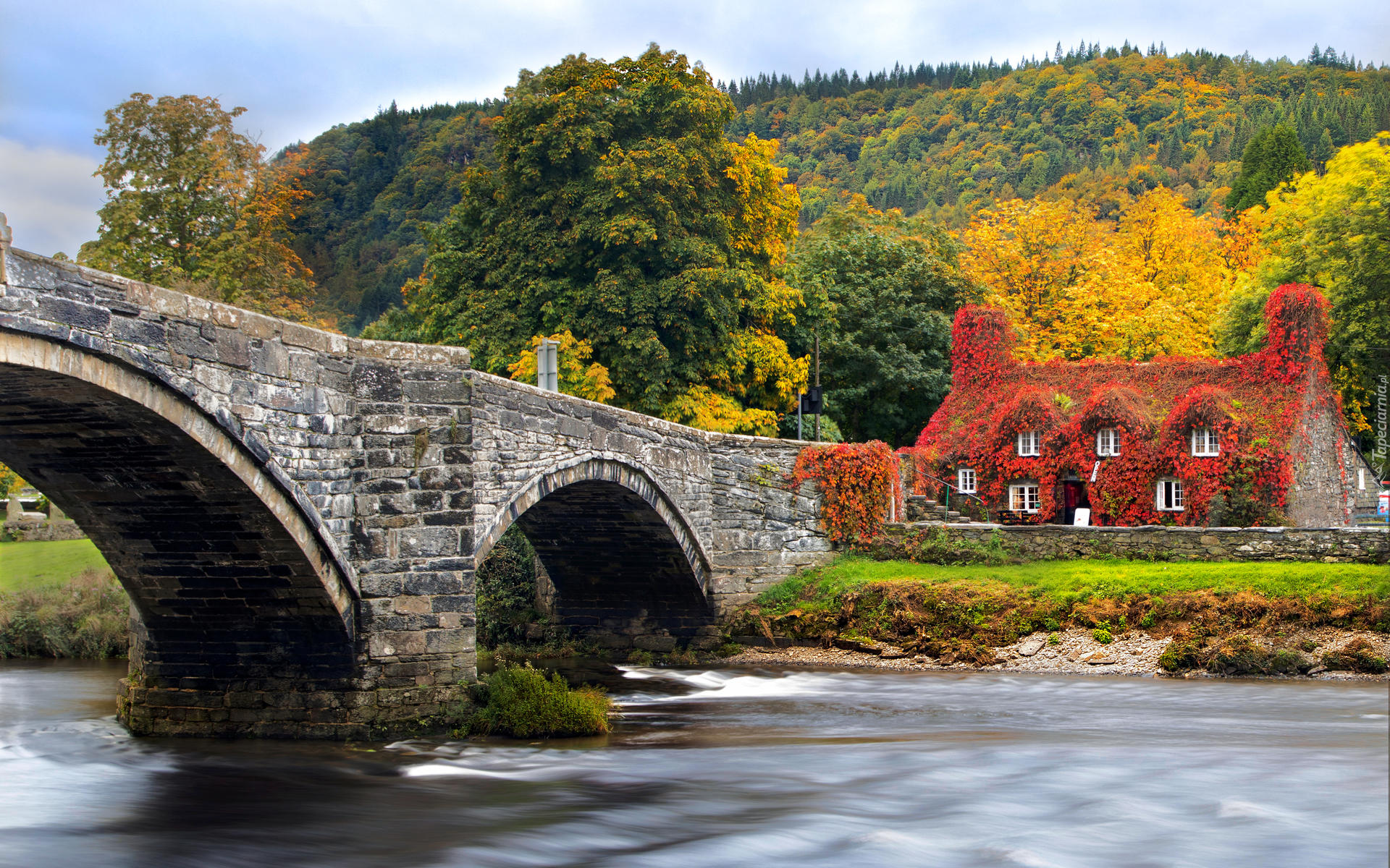 Las, Drzewa, Wzgórze, Dom, Most, Drzewa, Rzeka, Conwy River, Jesień, Llanrwst, Walia