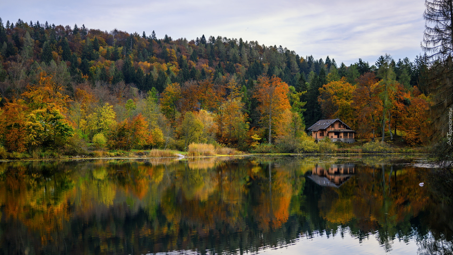 Jesień, Jezioro, Dom, Kolorowe, Drzewa