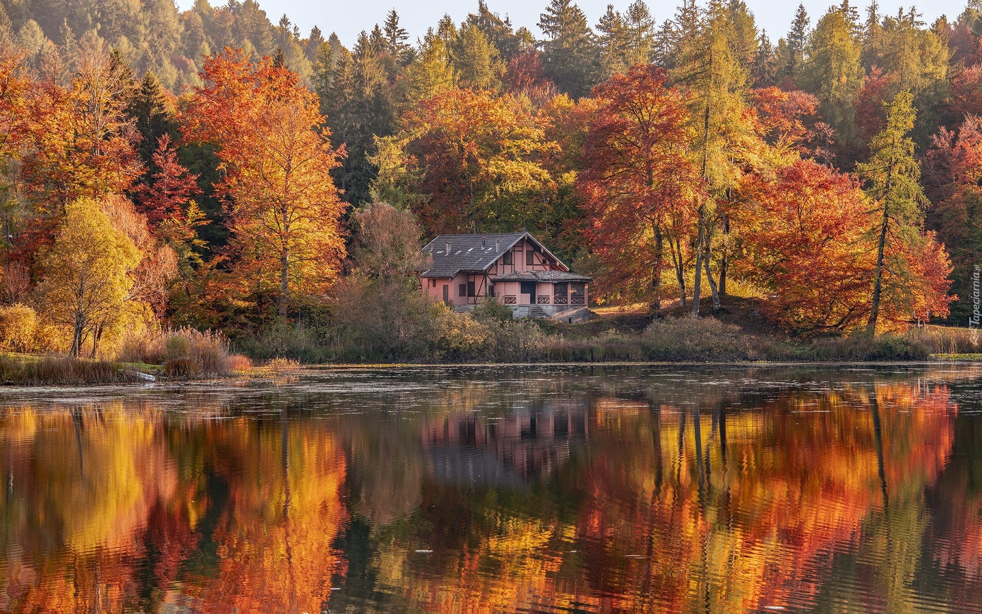 Jezioro, Lago di Cei, Las, Drzewa, Jesień, Dom, Trentino, Włochy