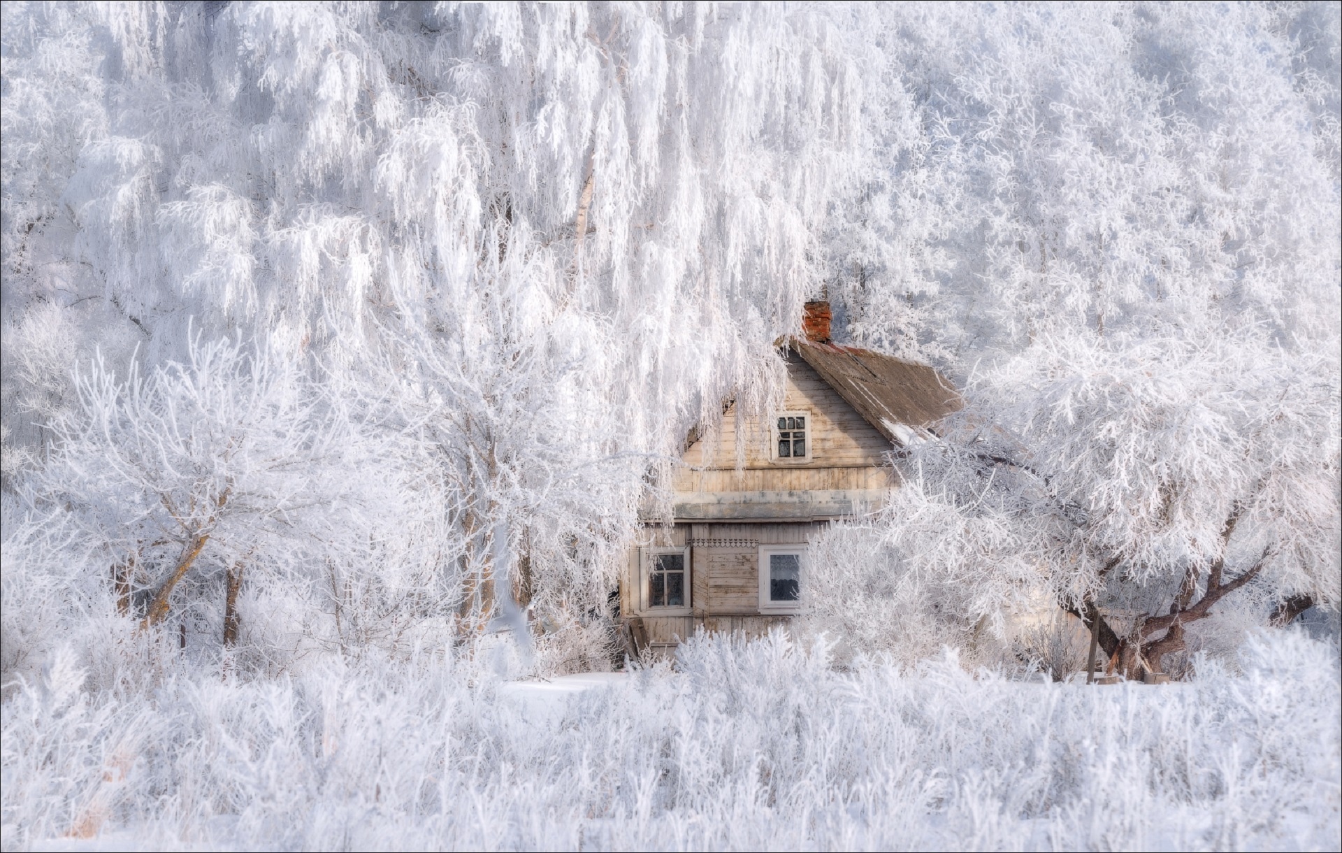 Zima, Drewniany, Dom, Las, Ośnieżone, Drzewa