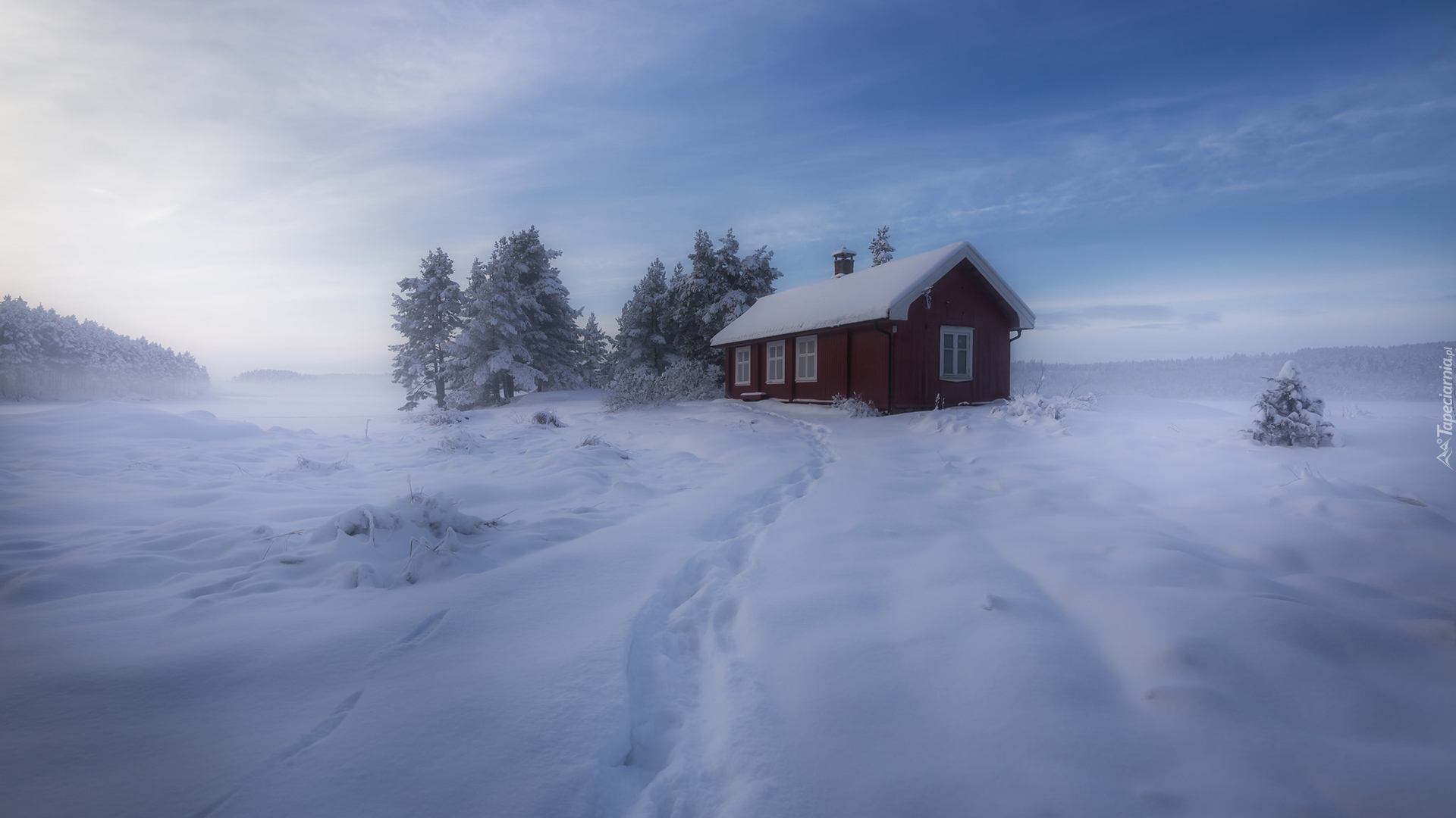 Norwegia, Gmina Ringerike, Zima, Drzewa, Las, Dom, Śnieg, Mgła