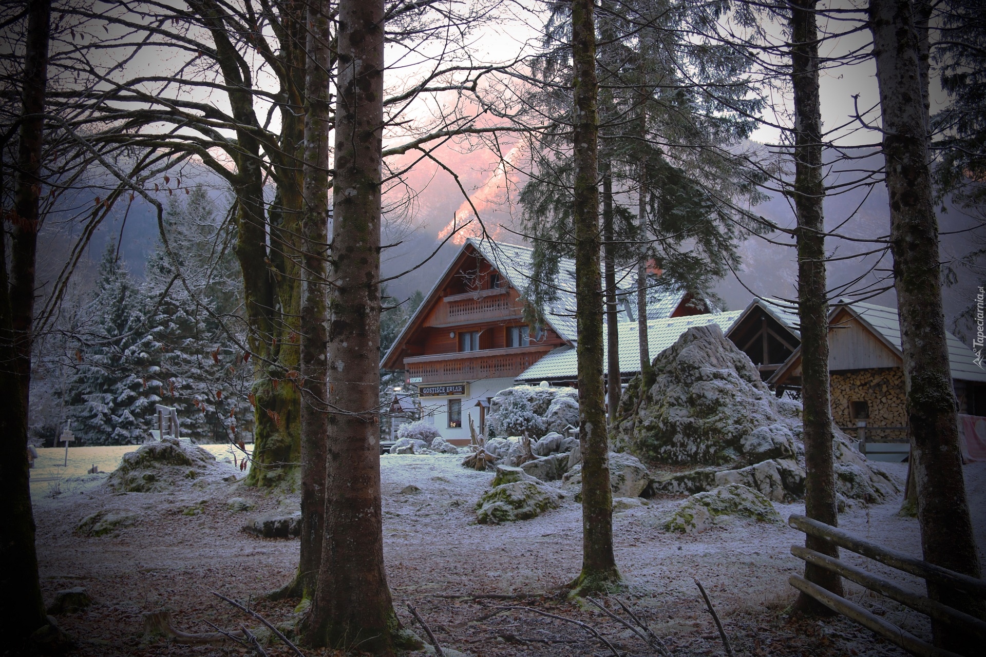 Zima, Słowenia, Bohinj, Domek gościnny Erlah, Gostišče Erlah, Drzewa, Krzewy, Śnieg