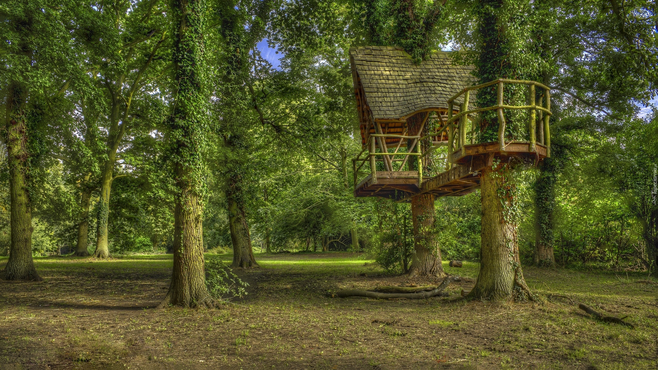 Anglia, Hrabstwo Northamptonshire, Kelmarsh, Kelmarsh Hall and Gardens, Park, Drzewa, Domek, HDR