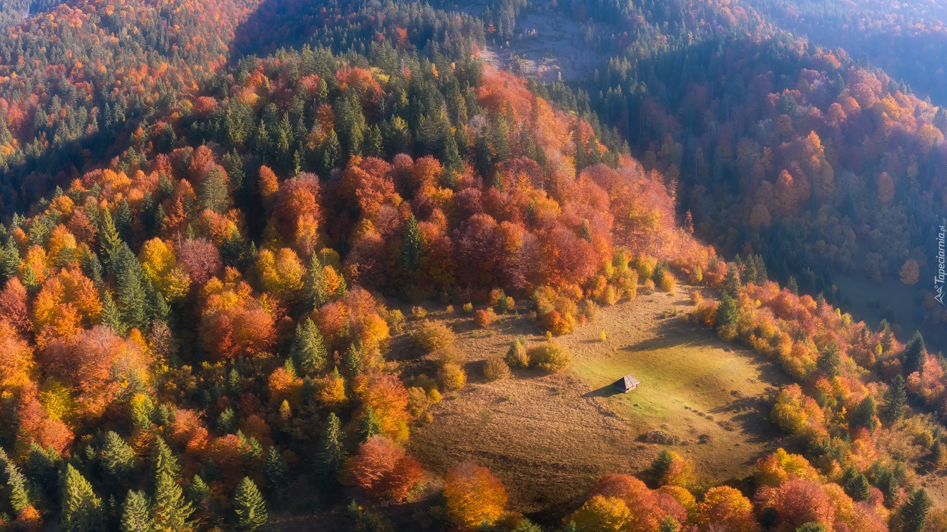 Lasy, Jesień, Drzewa, Dom, Polana, Wzgórza, Góry