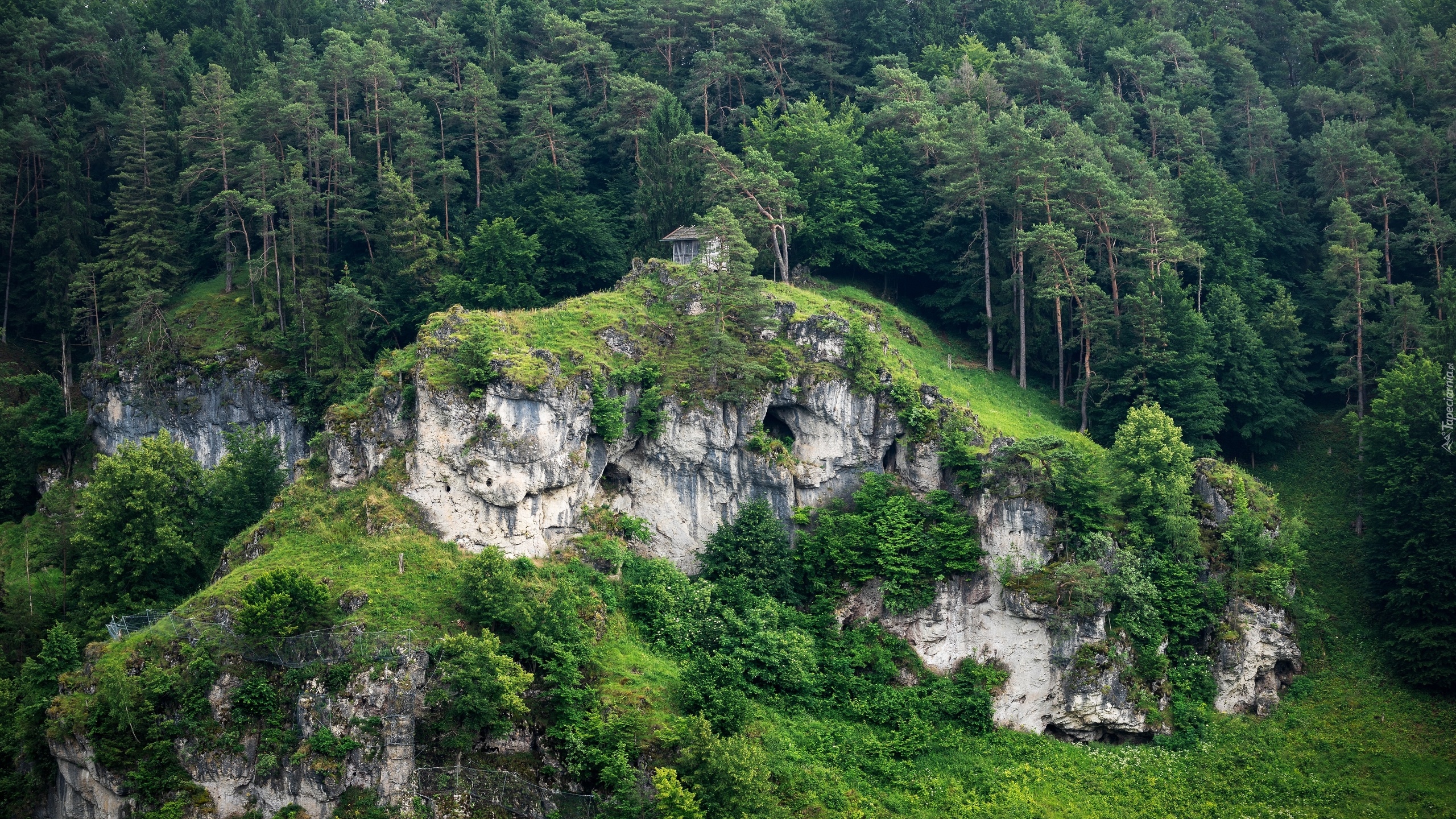 Góry, Las, Drzewa, Skały, Skarpa, Domek, Zieleń