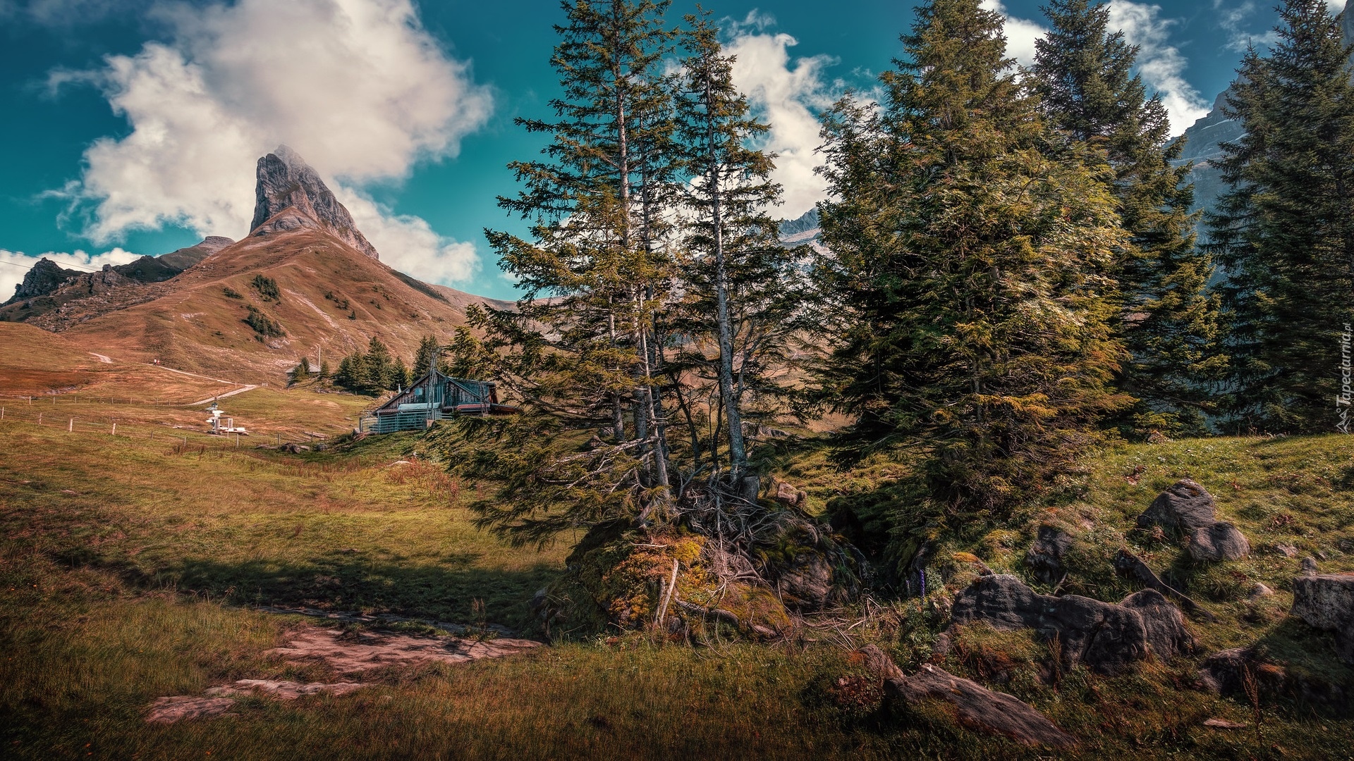 Góry, Domy, Drzewa, Chmury, Bannalp, Kanton Nidwalden, Szwajcaria