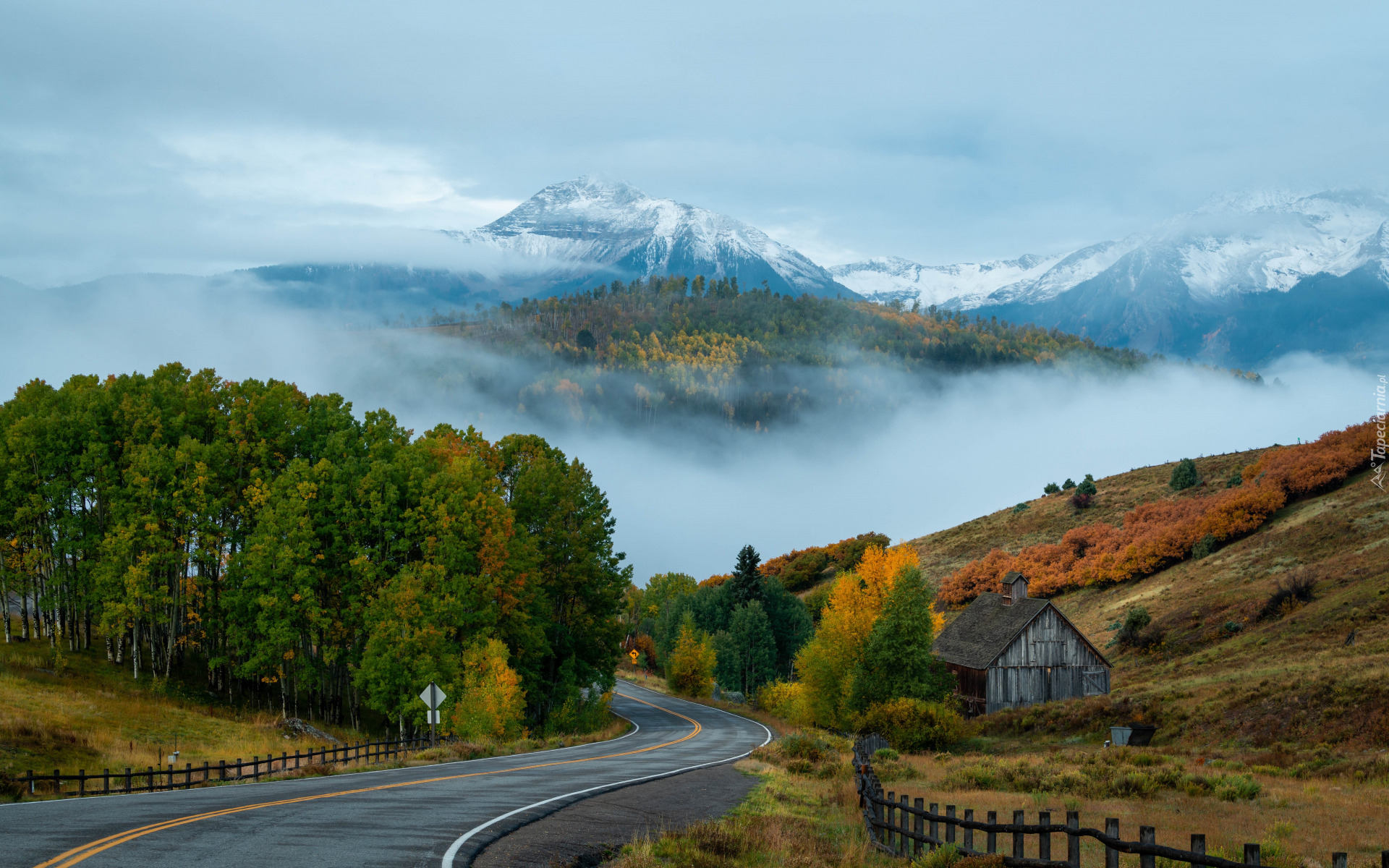 Stany Zjednoczone, Kolorado, Telluride, San Juan Mountains, Góry, Mgła, Droga, Drzewa, Ogrodzenie, Dom, Niebo