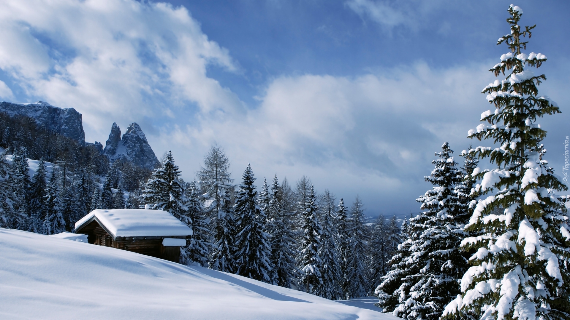 Dolomity, Domek, Lasy, Świerki, Val Gardena, Zima, Włochy