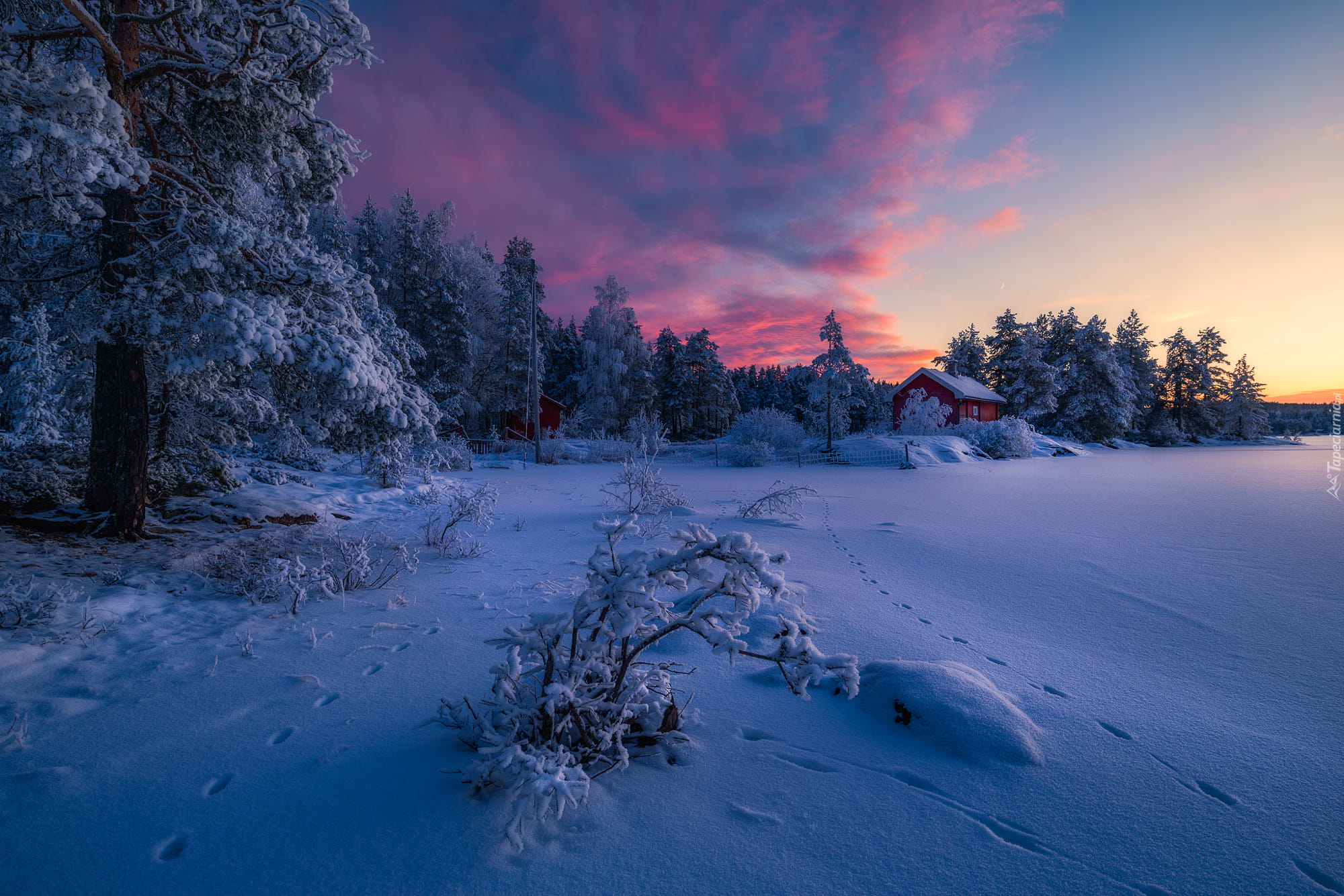 Norwegia, Gmina Ringerike, Zima, Drzewa, Domek, Zachód słońca, Chmury