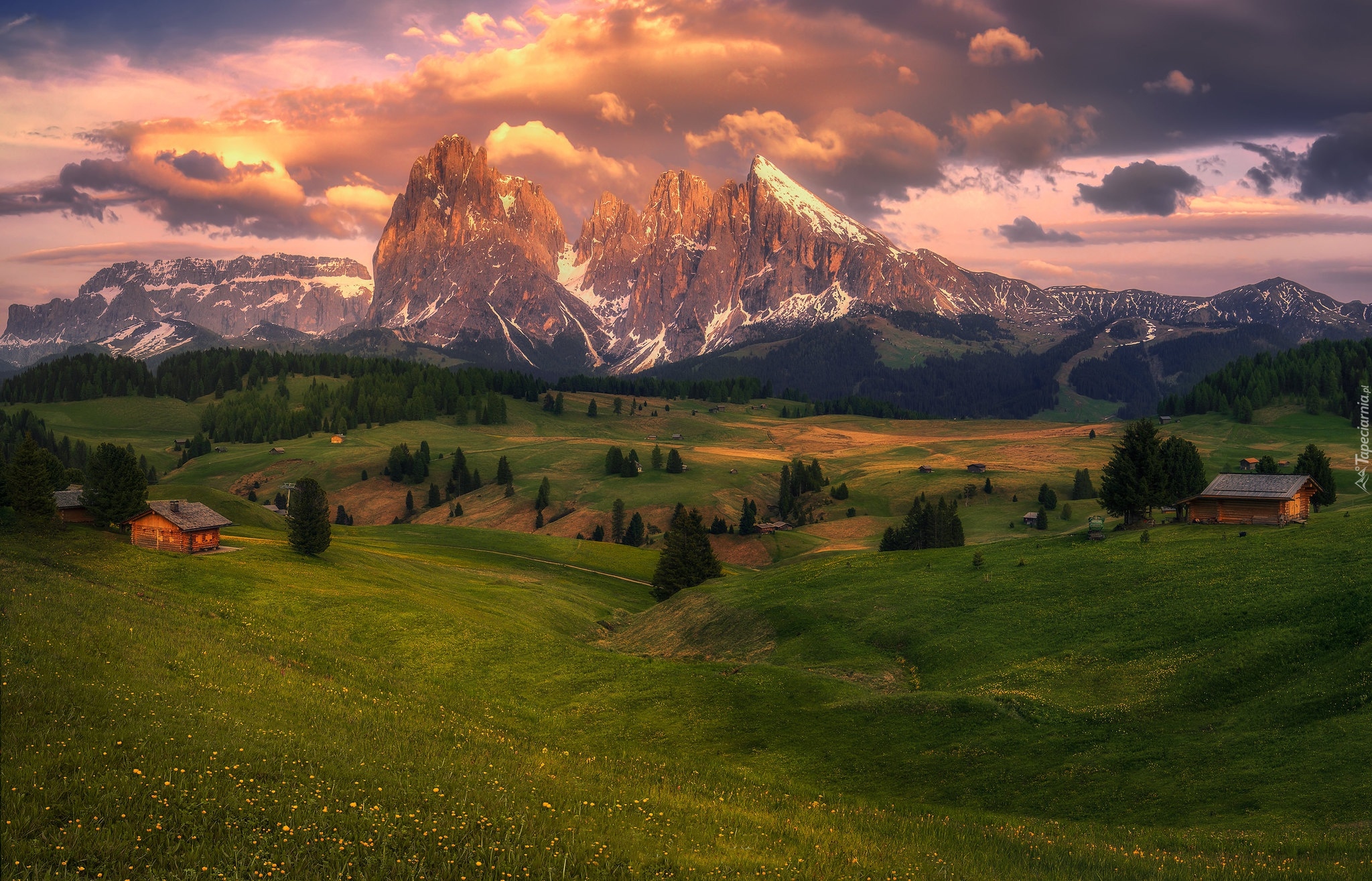 Góry Sassolungo, Dolomity, Drewniane, Domki, Drzewa, Płaskowyż Seiser Alm, Dolina Val Gardena, Łąki, Włochy