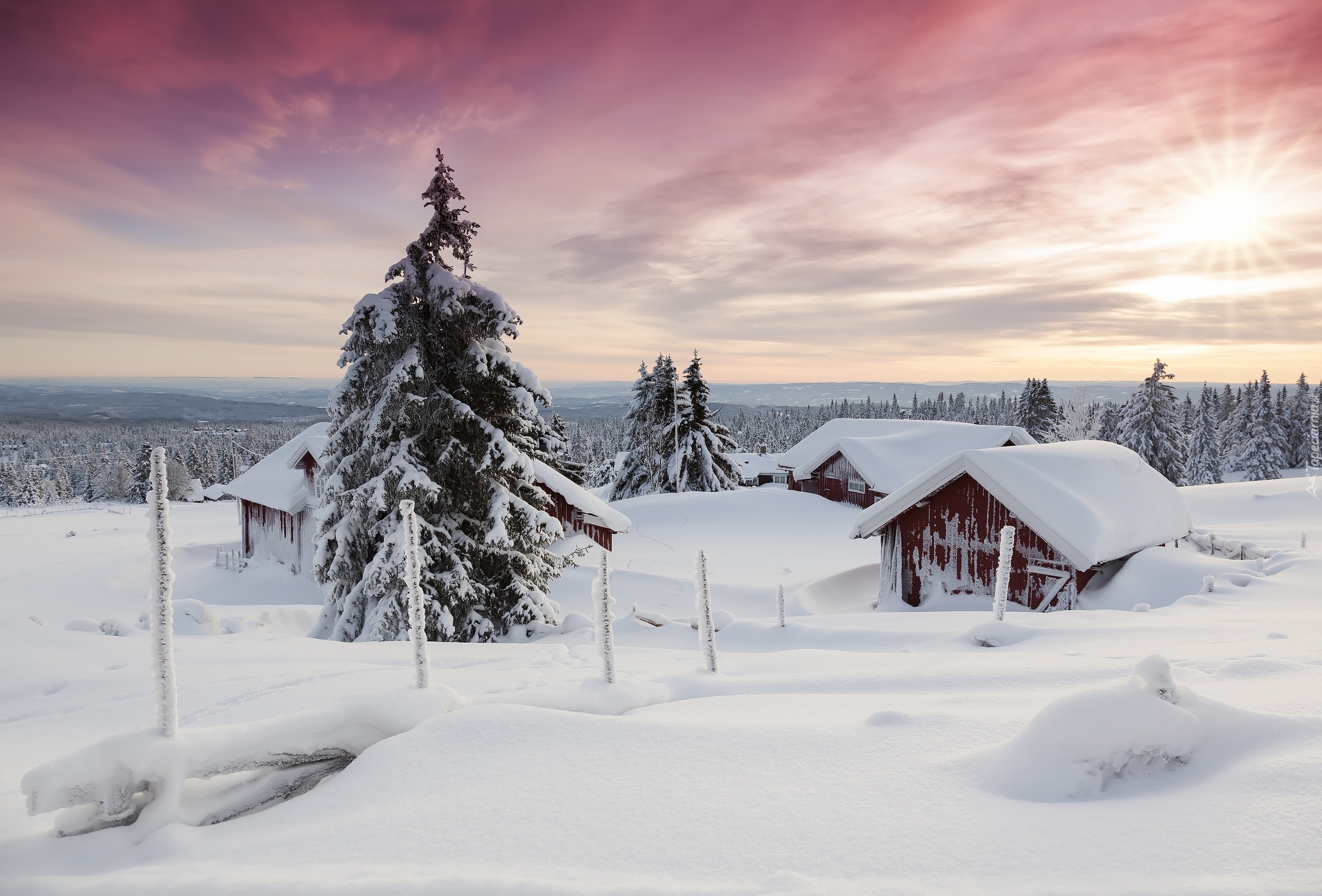 Zima, Domy, Drzewa, Śnieg, Promienie słońca, Sjusjoen, Okręg Hedmark, Norwegia