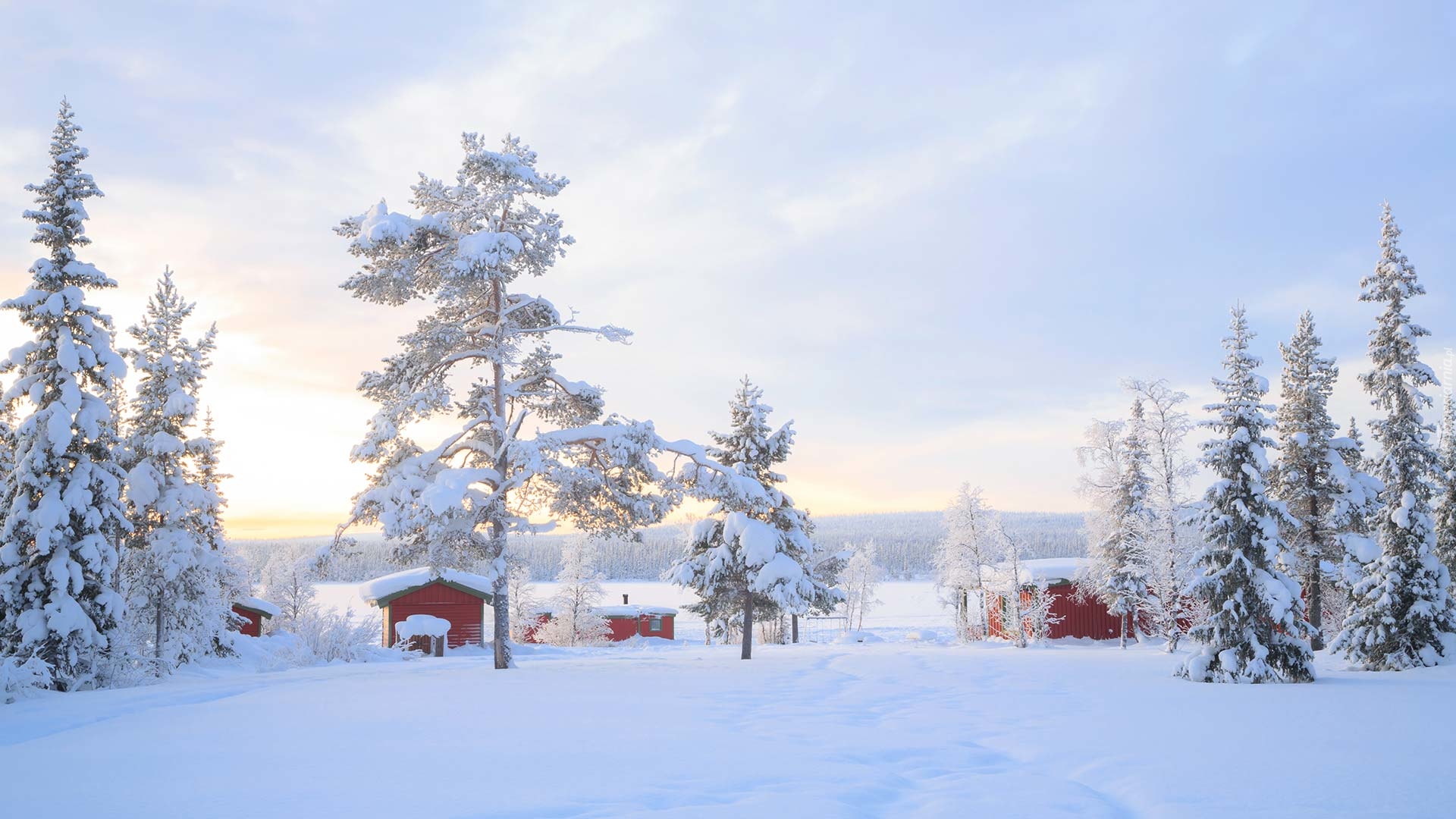 Finlandia, Laponia, Zima, Ośnieżone, Drzewa, Domy