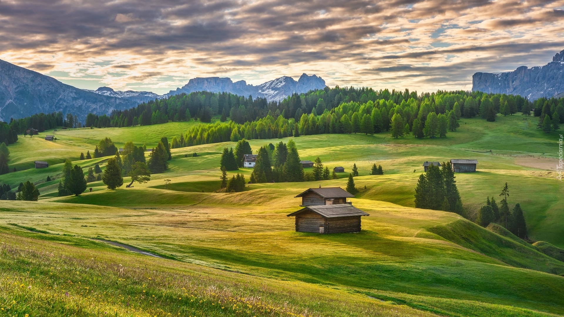 Dolina Val Gardena, Góry Sassolungo, Dolomity, Płaskowyż, Seiser Alm, Domki, Łąki, Drzewa, Chmury, Włochy