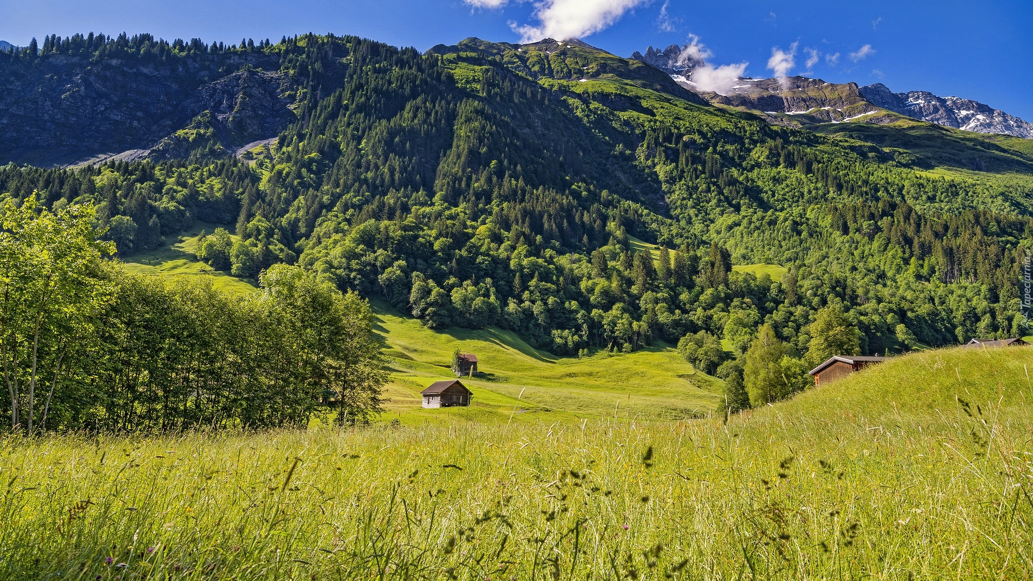 Góry, Alpy Szwajcarskie, Domki, Drzewa, Wzgórza, Wieś, Elm, Szwajcaria
